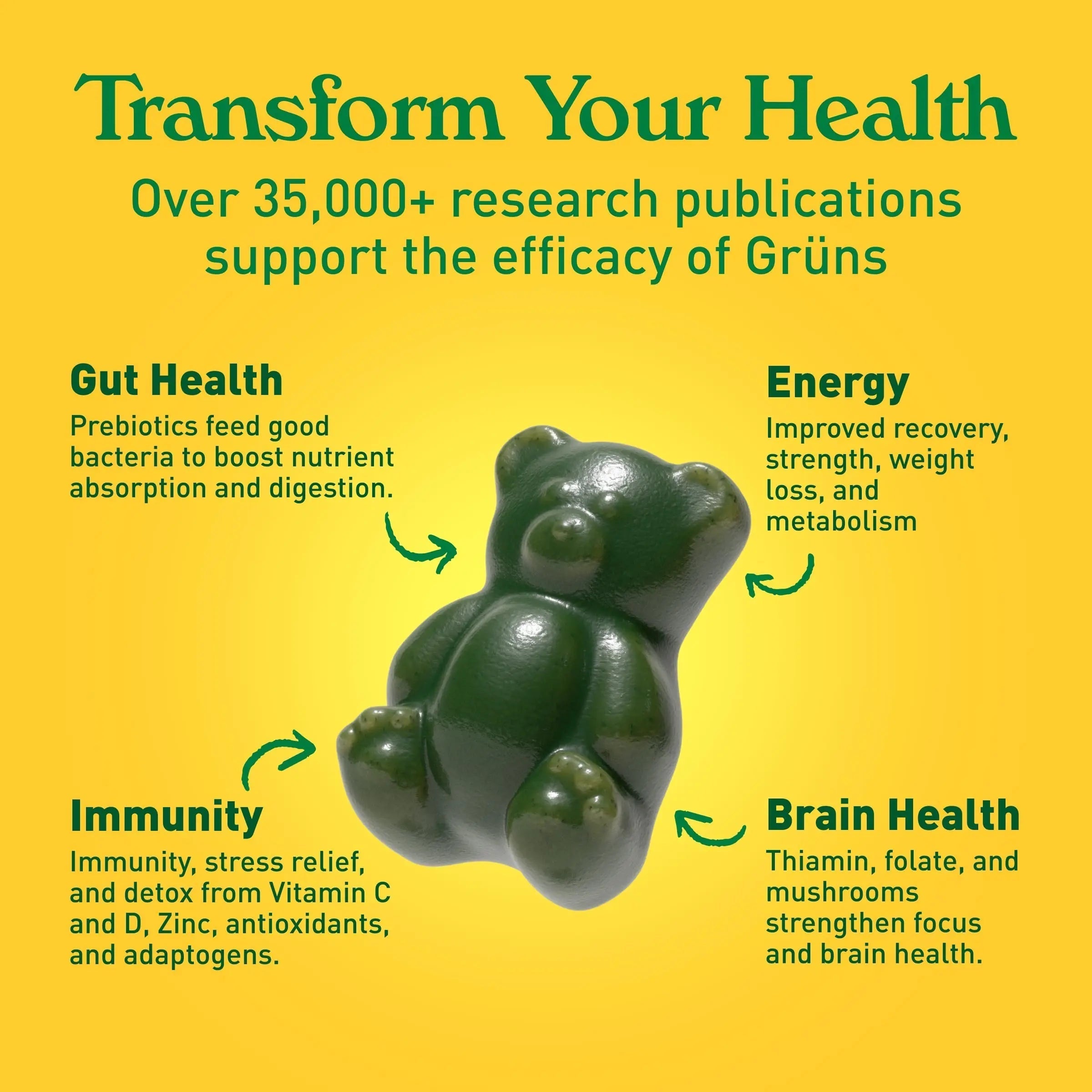 Gruns Adults Super Greens Multivitamin Gummies, Superfood Vitamin Gummy Bears with Spirulina, Chlorella, Prebiotic Fiber for Digestive Health Grüns buy supplements canada
