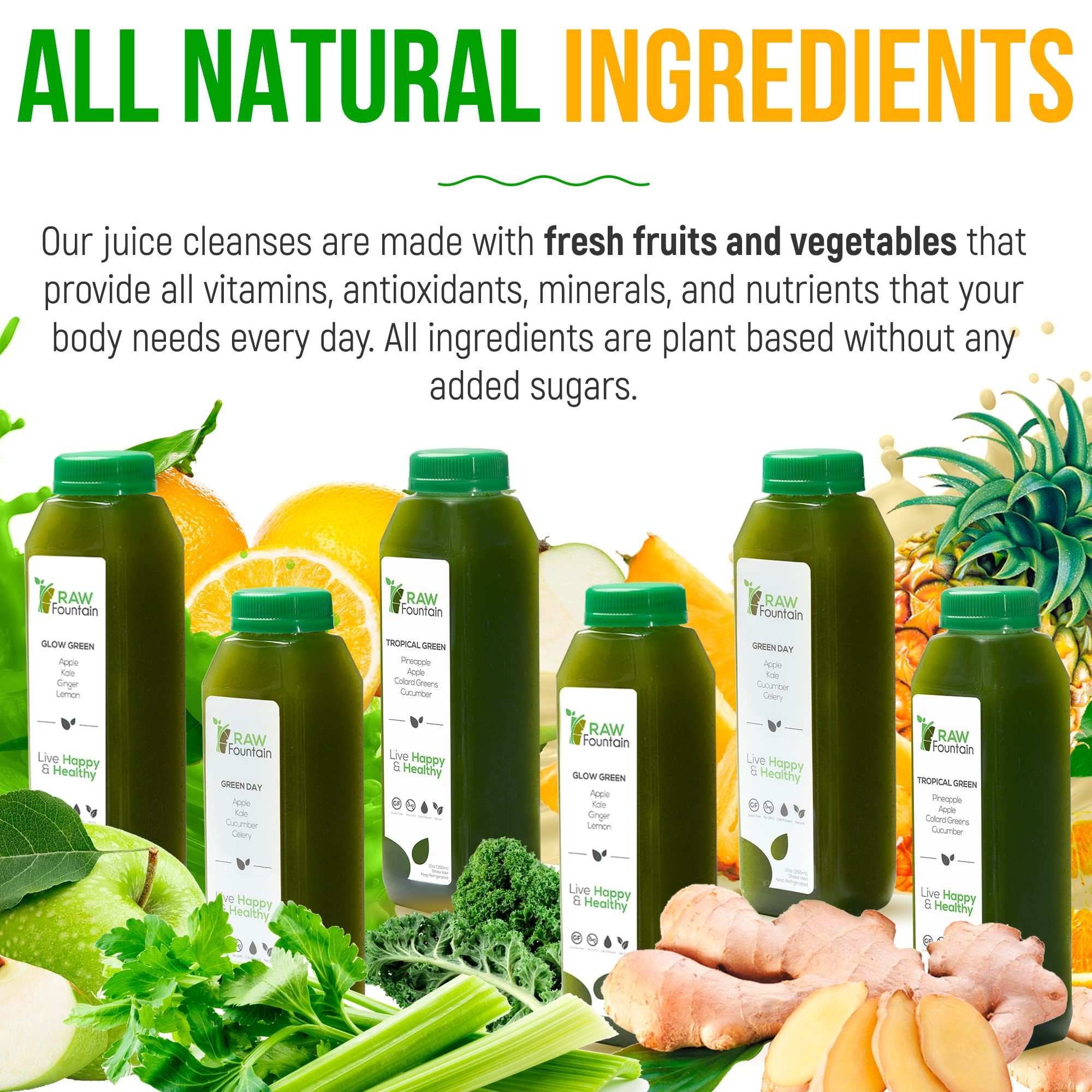 1 Day Green Juice Cleanse by Raw Fountain, All Natural Raw, Vegan Detox, Cold Pressed Raw Fountain buy supplements canada