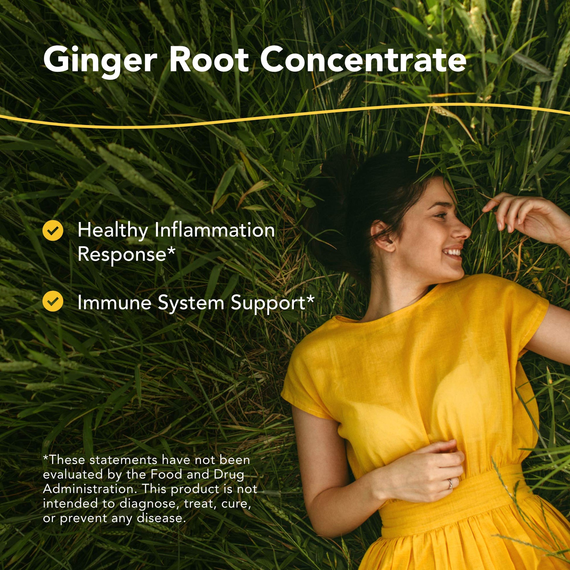 NORTH AMERICAN HERB & SPICE Inflam-eeZ - 90 Capsules - Supports Healthy Immune & Inflammatory Response - Ginger Root, Camu Camu Berries, Bromelain & Papain Plus - Non-GMO - 45 Total Servings NORTH AMERICAN HERB & SPICE buy supplements canada