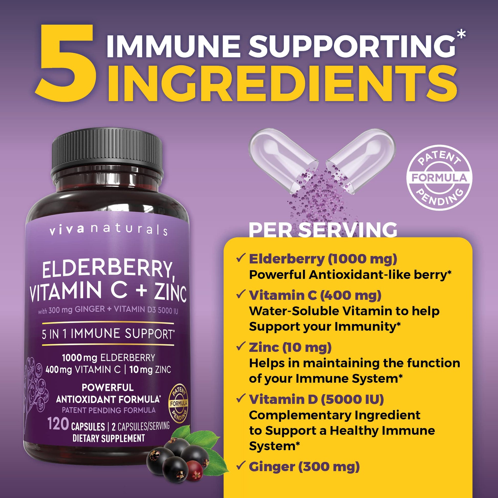 Viva Naturals Elderberry with Vitamin C and Zinc for Adults - 5 in 1 Sambucus Black Elderberry Capsules with Vitamin D3 5000 IU Immunity Supplement Viva Naturals buy supplements canada
