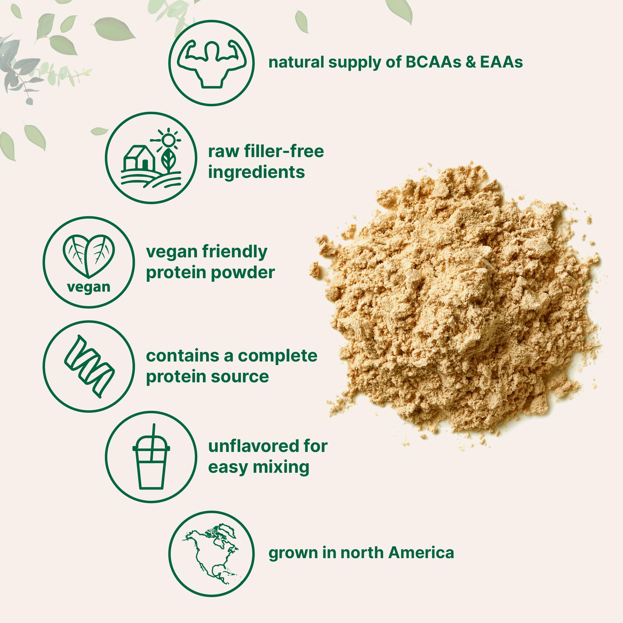 Micro Ingredients North American Grown, Pea Protein Powder, 5 Pounds | Plant Based, Unflavored | Complete Vegan Protein Source with BCAAs & EAAs – 27g Serving | Non-GMO, Keto Friendly Micro Ingredients buy supplements canada