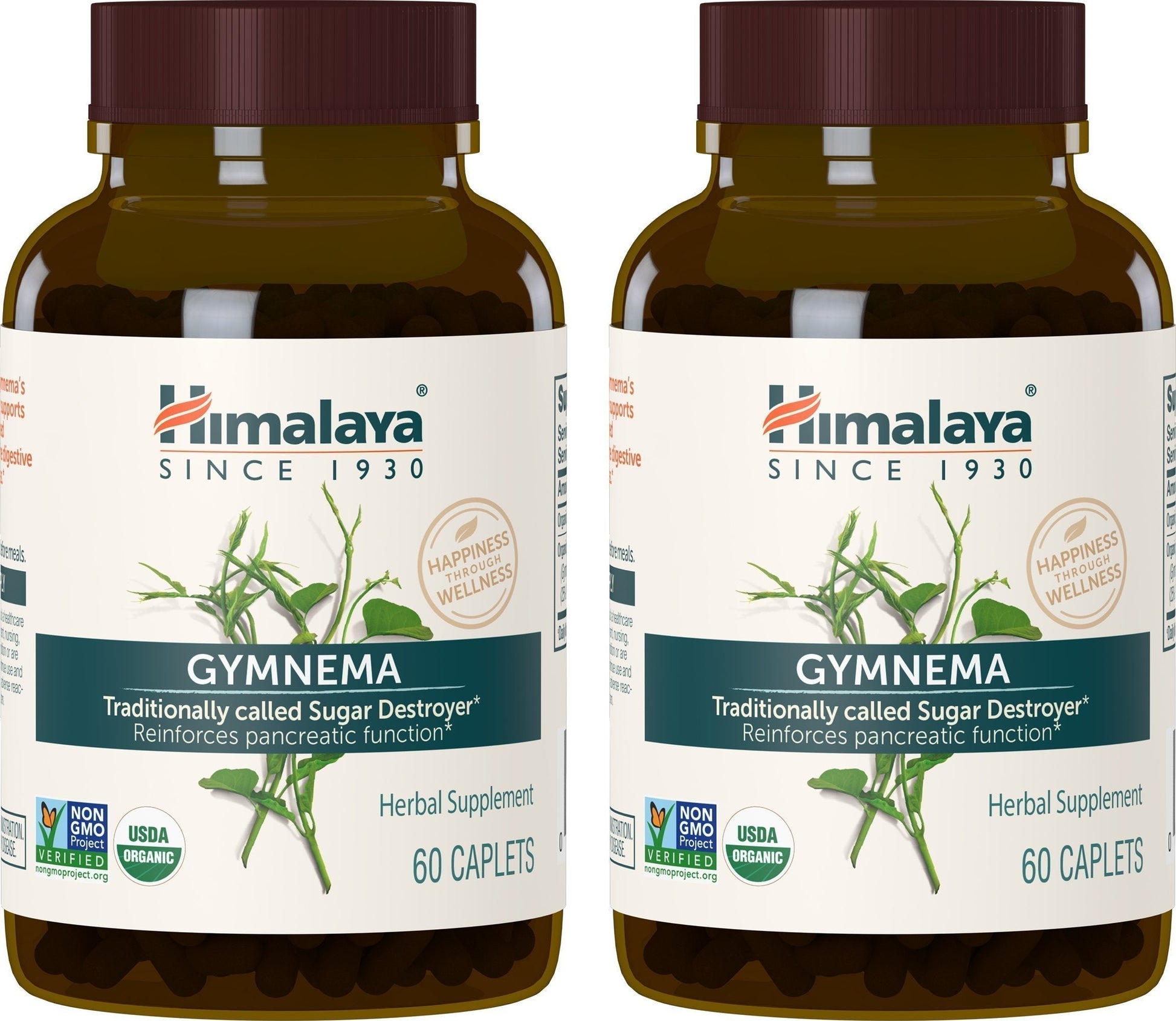 Himalaya Organic Gymnema Sylvestre for Glucose Metabolism, 700 mg Himalaya buy supplements canada
