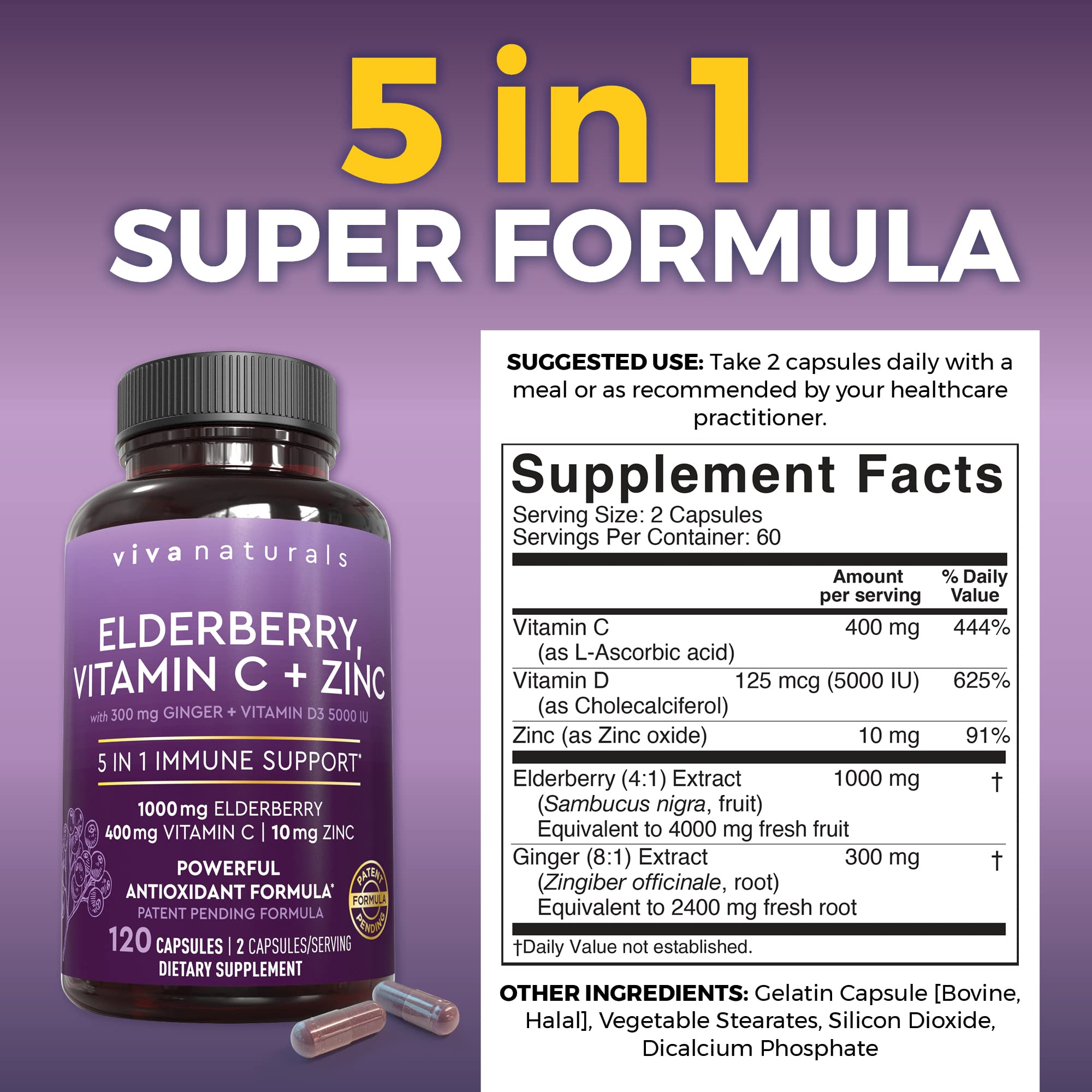 Viva Naturals Elderberry with Vitamin C and Zinc for Adults - 5 in 1 Sambucus Black Elderberry Capsules with Vitamin D3 5000 IU Immunity Supplement Viva Naturals buy supplements canada