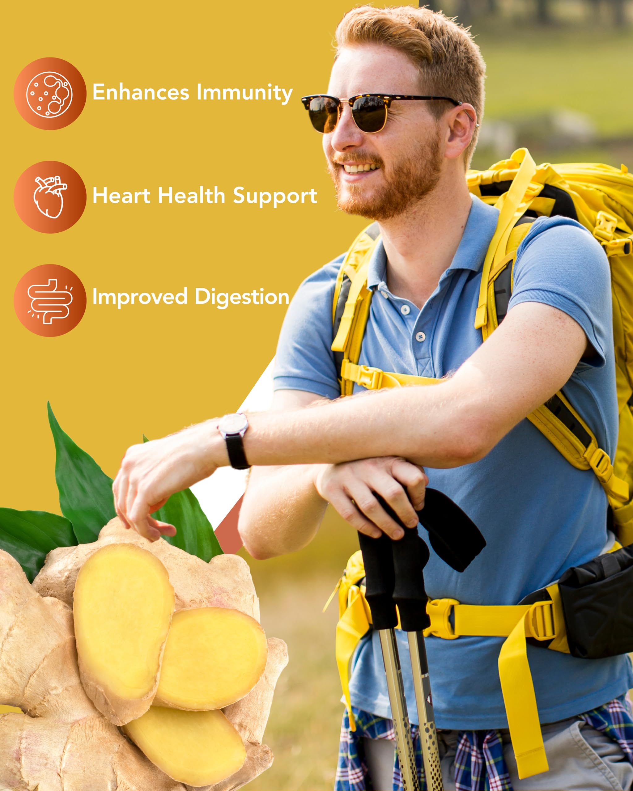 Organic Turmeric & Ginger Capsules - Turmeric Curcumin with Ginger & BioPerine, 95% Curcuminoids - Joint, Digestion, Immunity Support, Black Pepper Extract for Increased Absorption CogniTune buy supplements canada