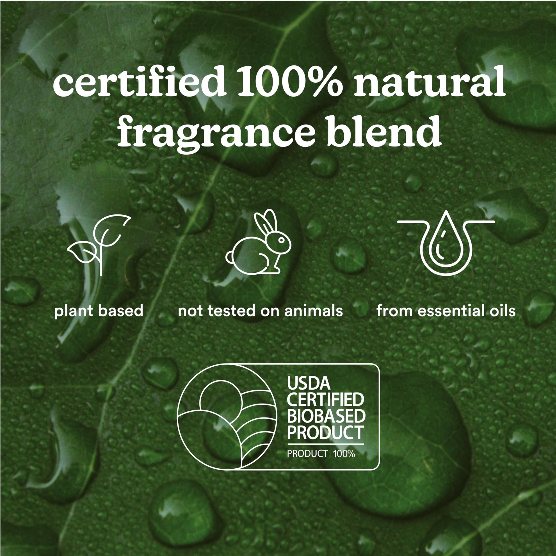 Homedics SereneScent Moroccan Magic Fragrance Oil Bottle, 120 ml, Clean & Natural, Fruity & Woody Homedics buy supplements canada