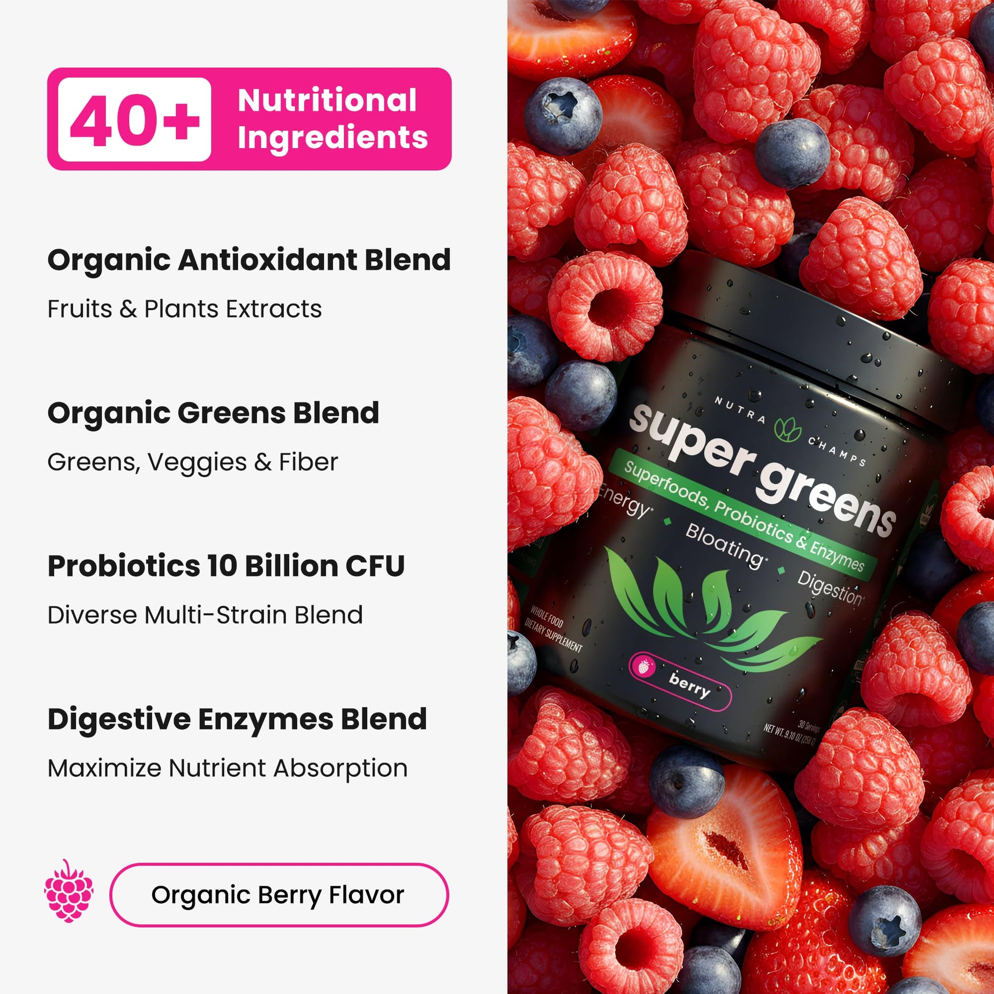 SuperGreens Powder, 40+ Organic Superfoods, Probiotics & Enzymes for Energy, Digestion, Gut Health & Bloating | Organic Fruit & Veggie Drink Mix, Daily Green Juice NutraChamps buy supplements canada