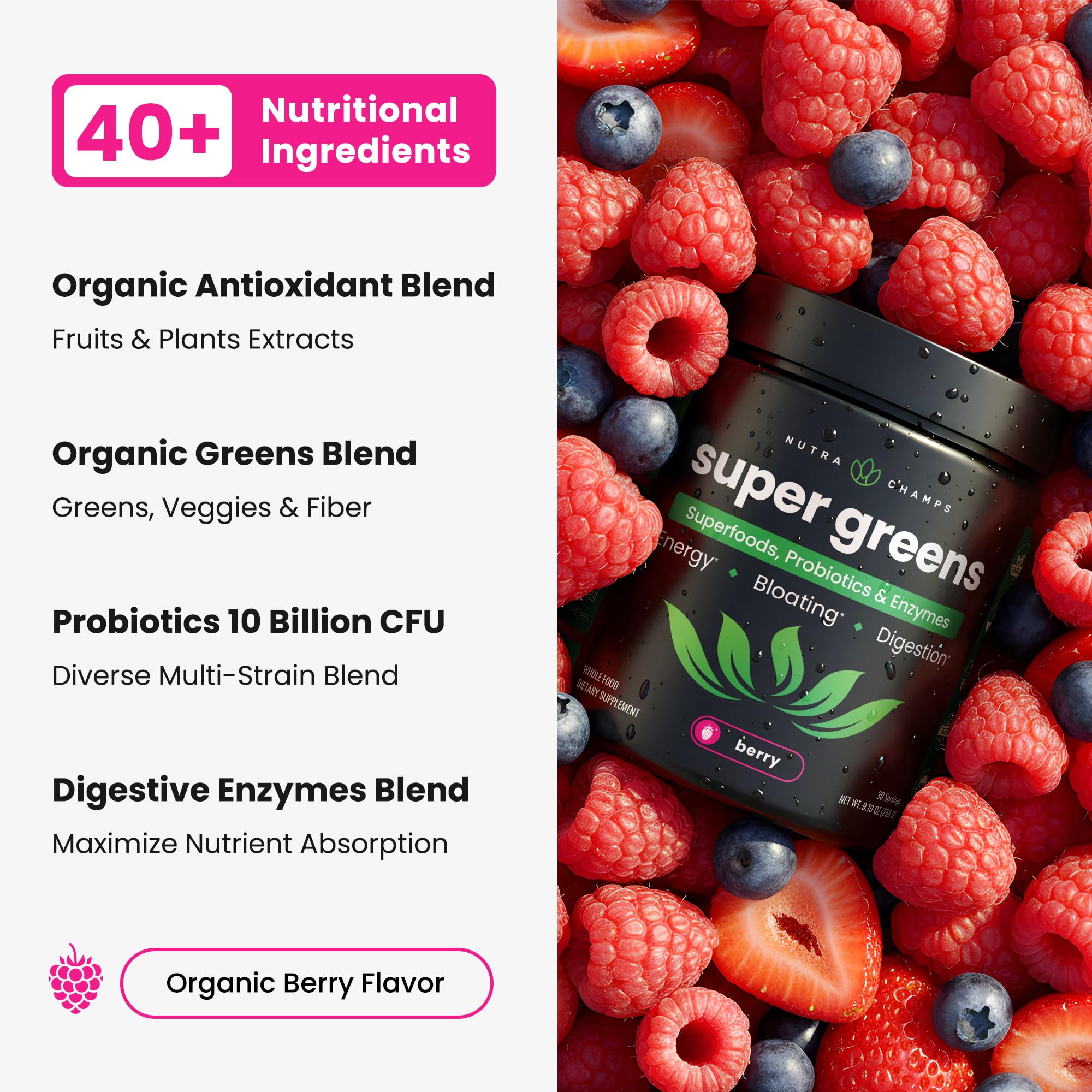 SuperGreens Powder, 40+ Organic Superfoods, Probiotics & Enzymes for Energy, Digestion, Gut Health & Bloating | Organic Fruit & Veggie Drink Mix, Daily Green Juice NutraChamps buy supplements canada