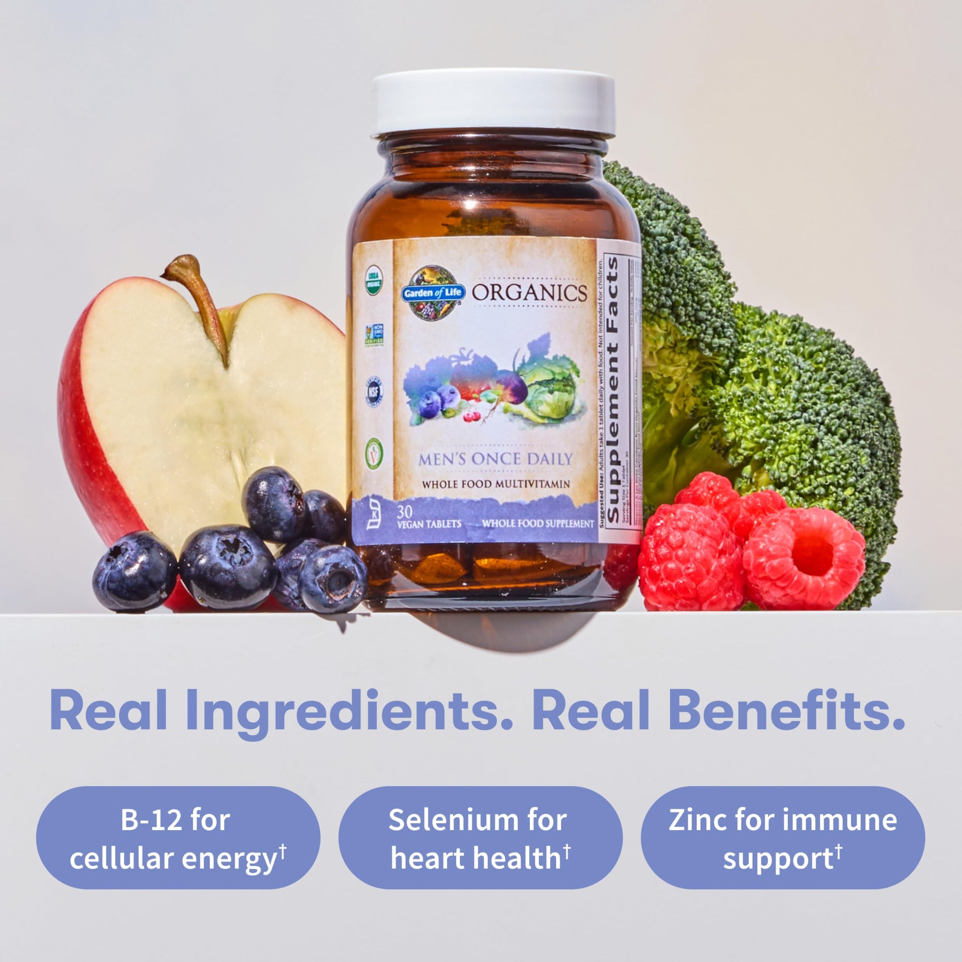 Garden of Life Once Daily Whole Food Multivitamin for Men, Organic Mens Vitamins & Minerals, Vitamin C, Zinc, Vegan, for Health & Well-Being, 60 Tablets Garden of Life buy supplements canada