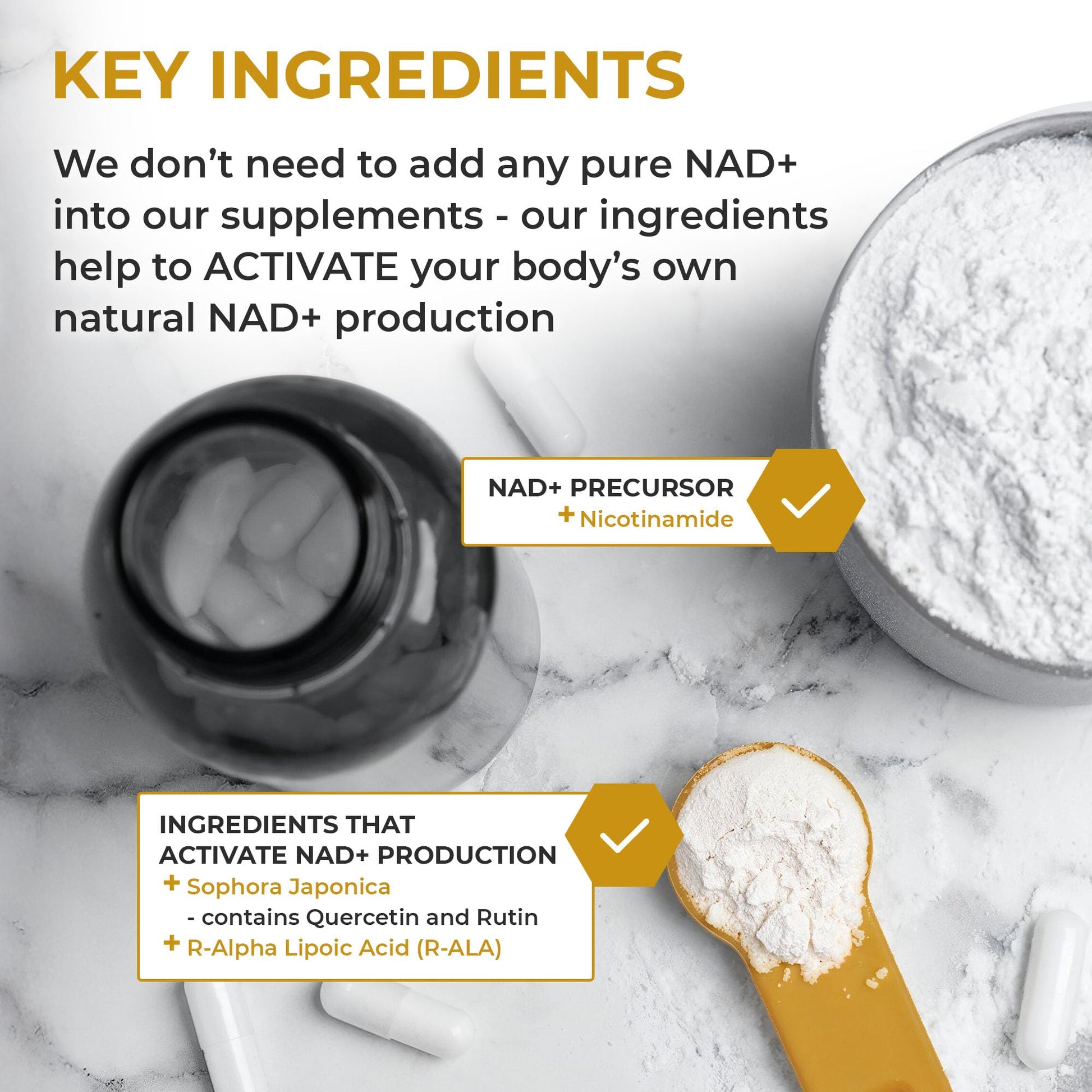 Nuchido Time+ NAD Supplement for Men & Women - Advanced Formula for Healthy Aging, Energy, Focus, Cellular Health & Longevity - Nicotinamide, Alpha Lipoic Acid, Quercetin - 90 Capsules Nuchido Time+ buy supplements canada