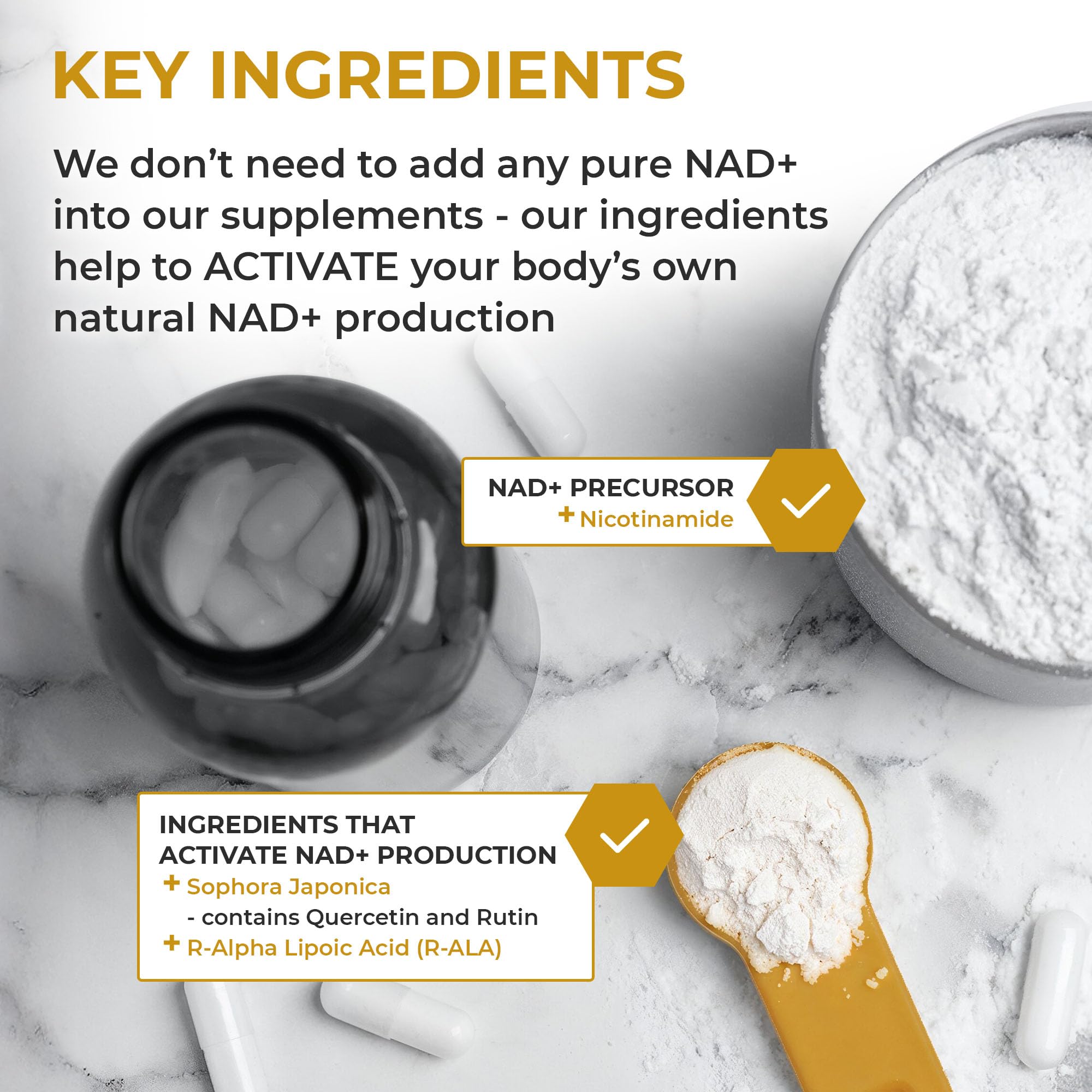 Nuchido Time+ NAD Supplement for Men & Women - Advanced Formula for Healthy Aging, Energy, Focus, Cellular Health & Longevity - Nicotinamide, Alpha Lipoic Acid, Quercetin - 90 Capsules Nuchido Time+ buy supplements canada