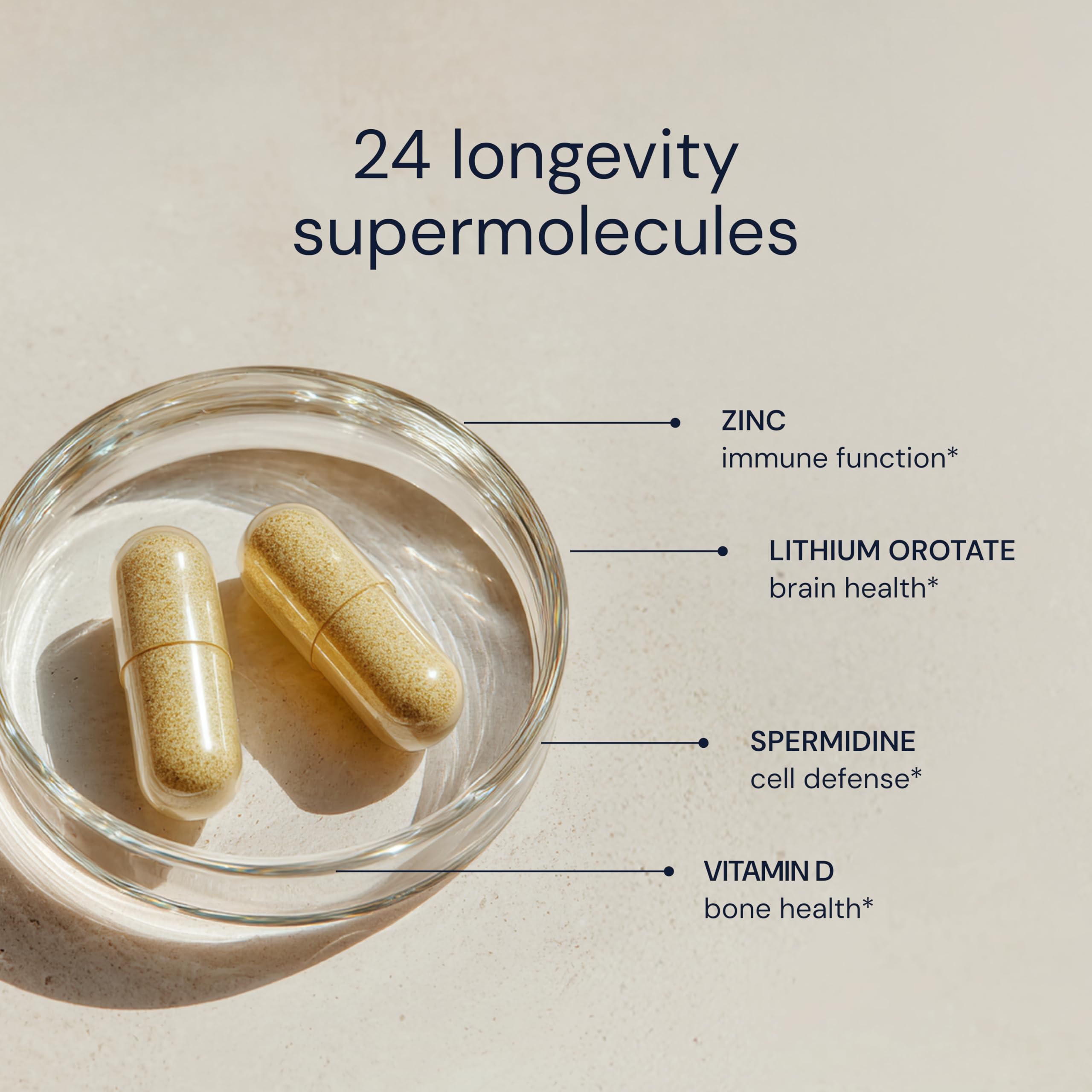 Blueprint Bryan Johnson Essential Capsules - Daily Multivitamin/Multimineral for Women and Men - Antioxidant Supplement with Calcium, Vitamin B1, Vitamin D, and Zinc Blueprint Bryan Johnson buy supplements canada