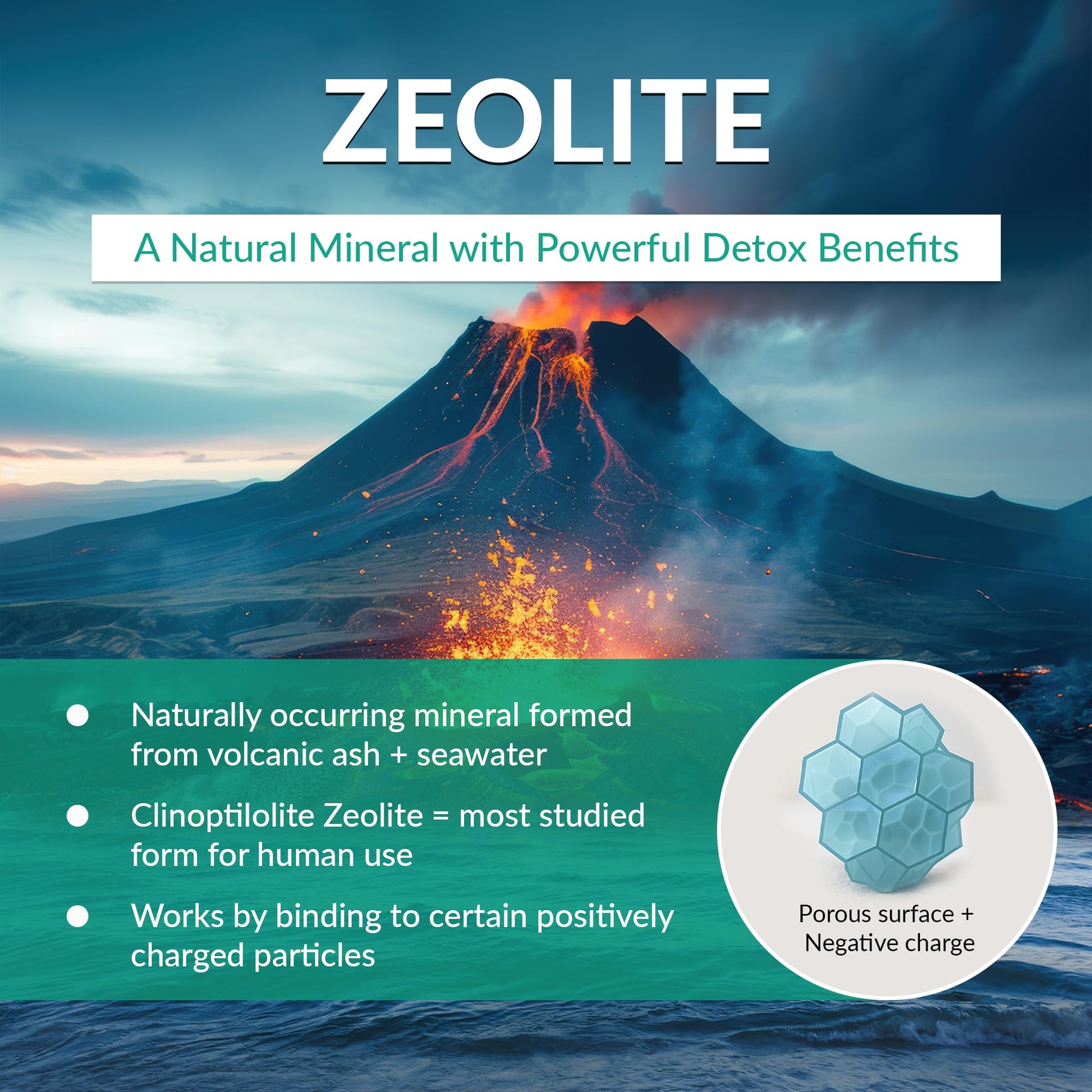 Organic Excellence Zeolite Clinoptilolite Powder – Pure Micronized Mineral Supplement – Supports Gut Health, Cleansing Support & Internal Balance – Non-GMO, Vegan – 500 Servings Organic Excellence buy supplements canada