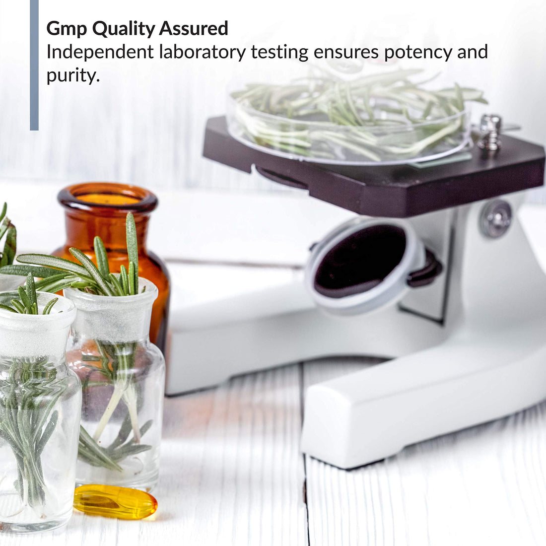 BioTrust OmegaKrill EPA & DHA Omega 3 Supplement, Fish and Krill Oil to Provide Bio TRUST buy supplements canada
