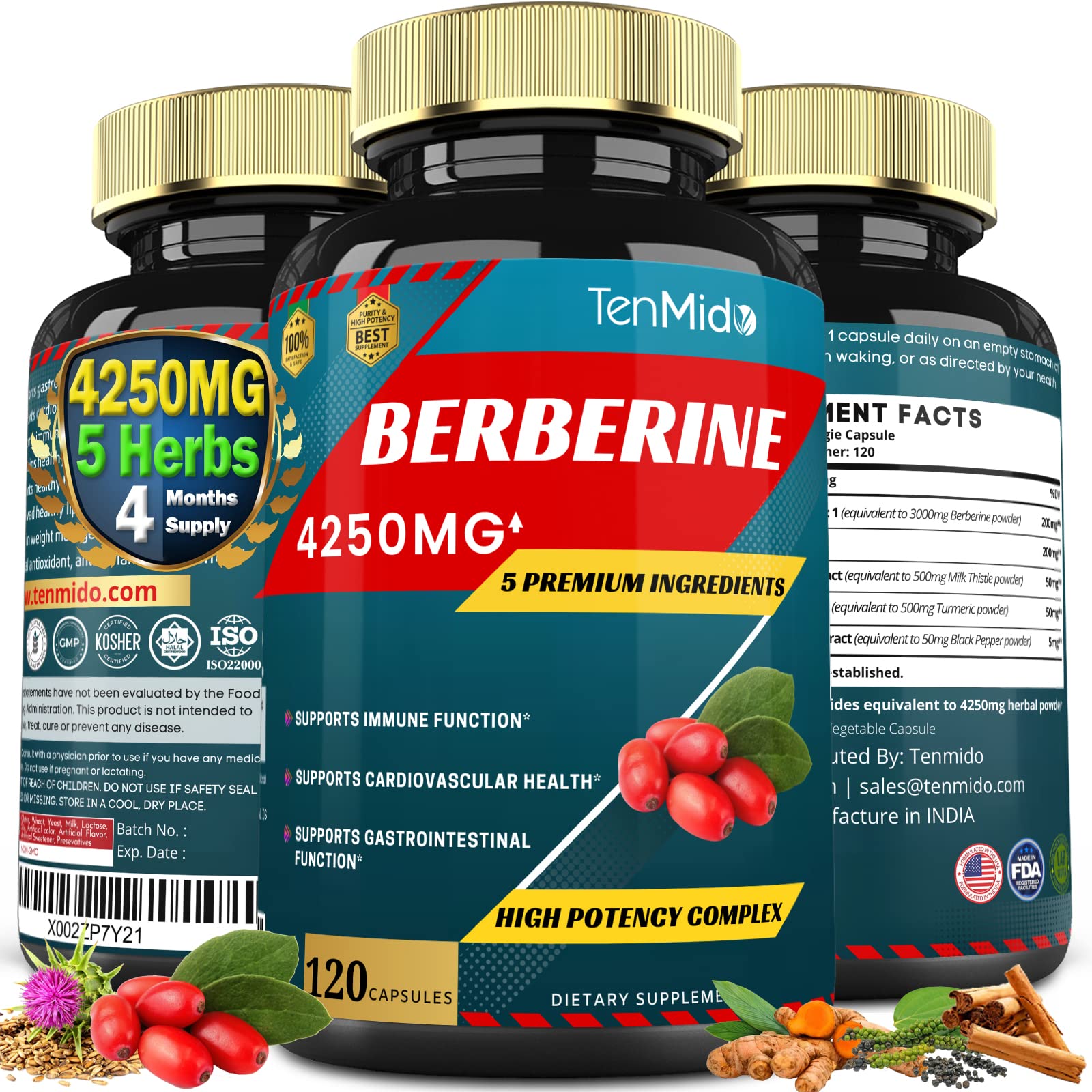 Berberine Extract Capsules 4250mg, 4 Months Supply & Ceylon, Milk Thistle, Turmeric Tenmido buy supplements canada