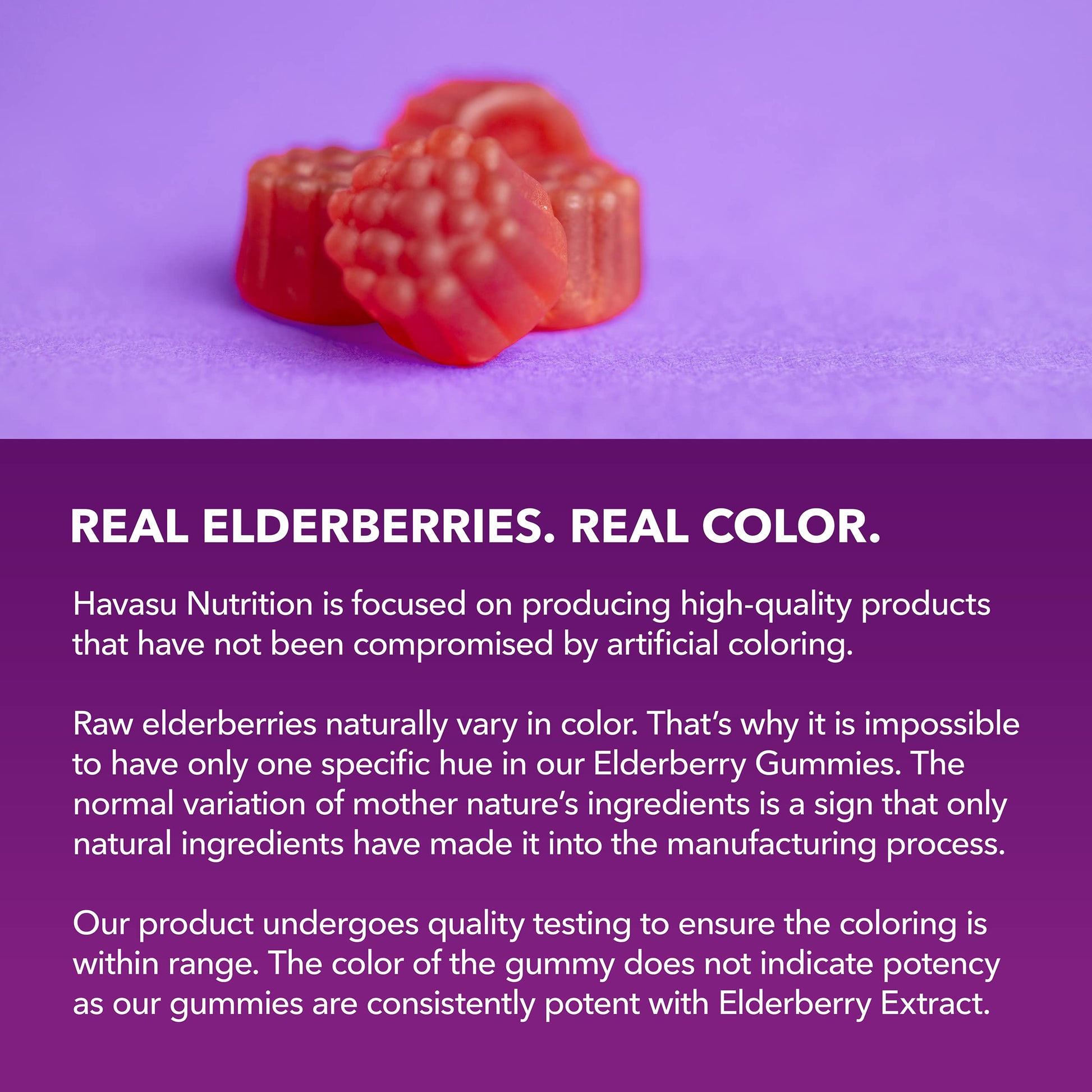 Sambucus Elderberry Gummies for Adults - Immune Support Supplement with Vitamin C and Zinc - Enhanced Formula for Daily Defense - 60 Count HAVASU NUTRITION buy supplements canada
