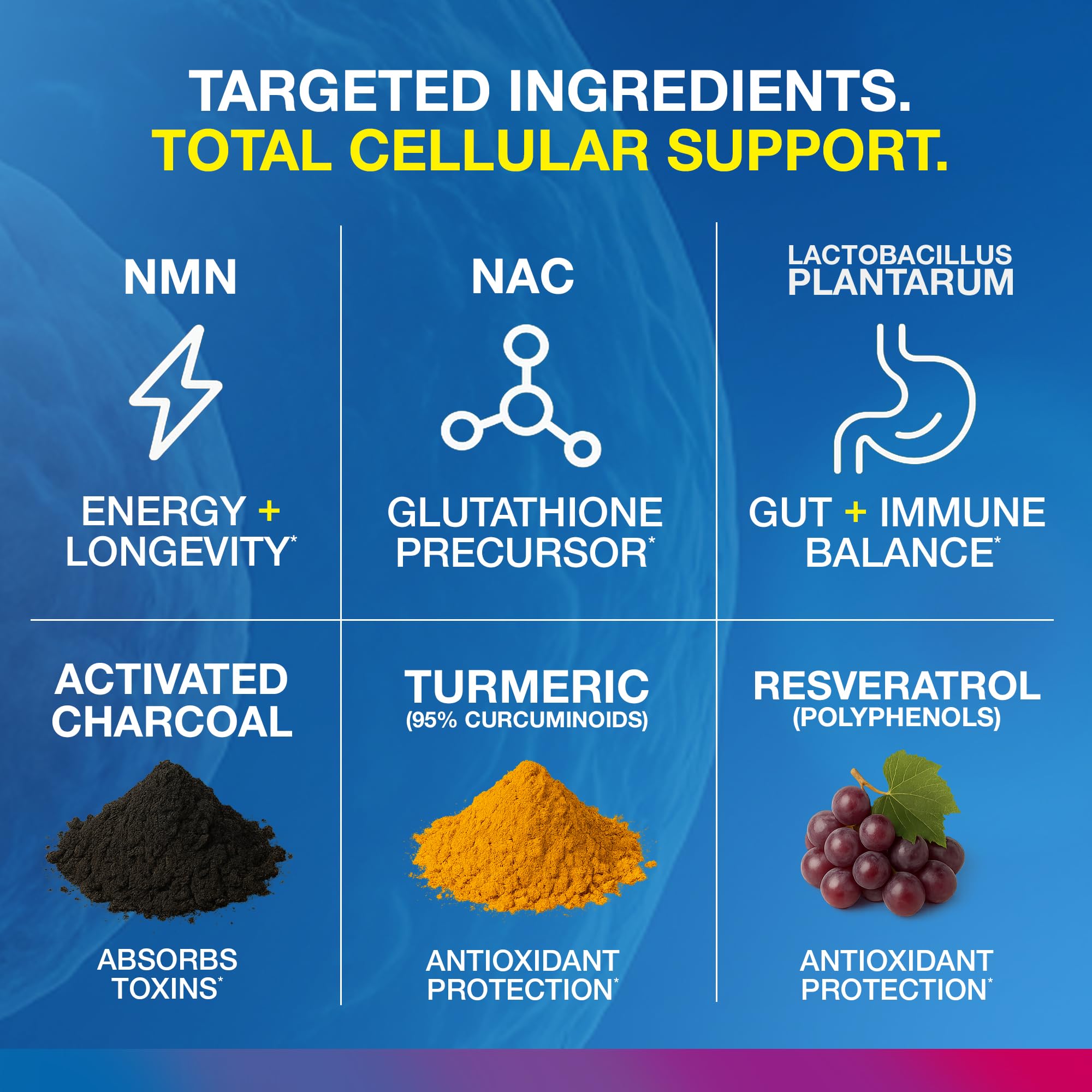 Vitology MP-PRO Microplastics Defense | 15 Billion CFU Probiotic + Antioxidant Blend | NMN, NAC, Glutathione, Resveratrol & Charcoal | Supports Cellular Detox, Longevity & Gut Health – 60 Capsules Vitology buy supplements canada