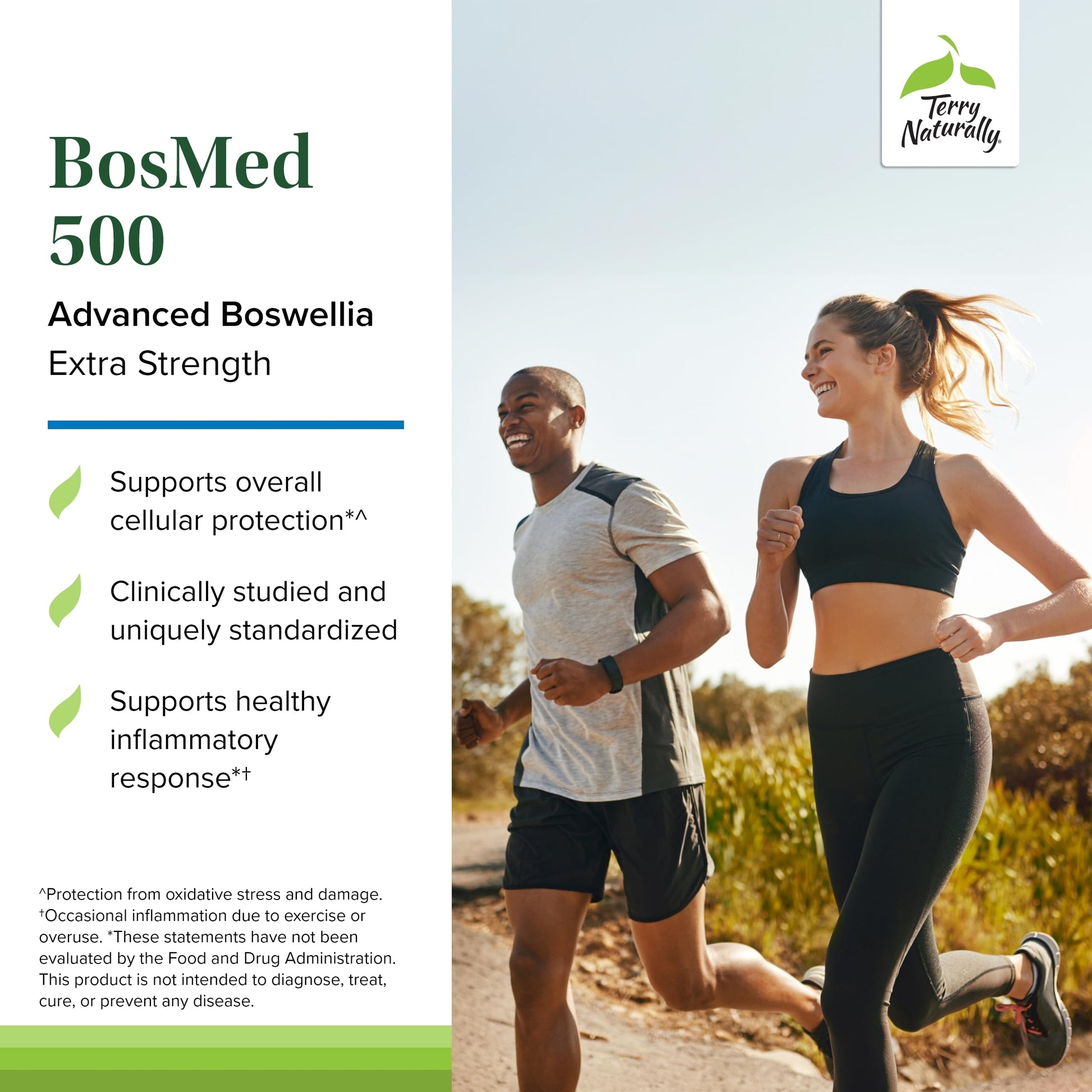 Terry Naturally BosMed 500 Extra Strength - Boswellia Serrata Extract Supplement - Supplement for Healthy Lung Support - Herbal Supplement Formula with High Levels of AKBA - 120 Softgels Terry Naturally buy supplements canada