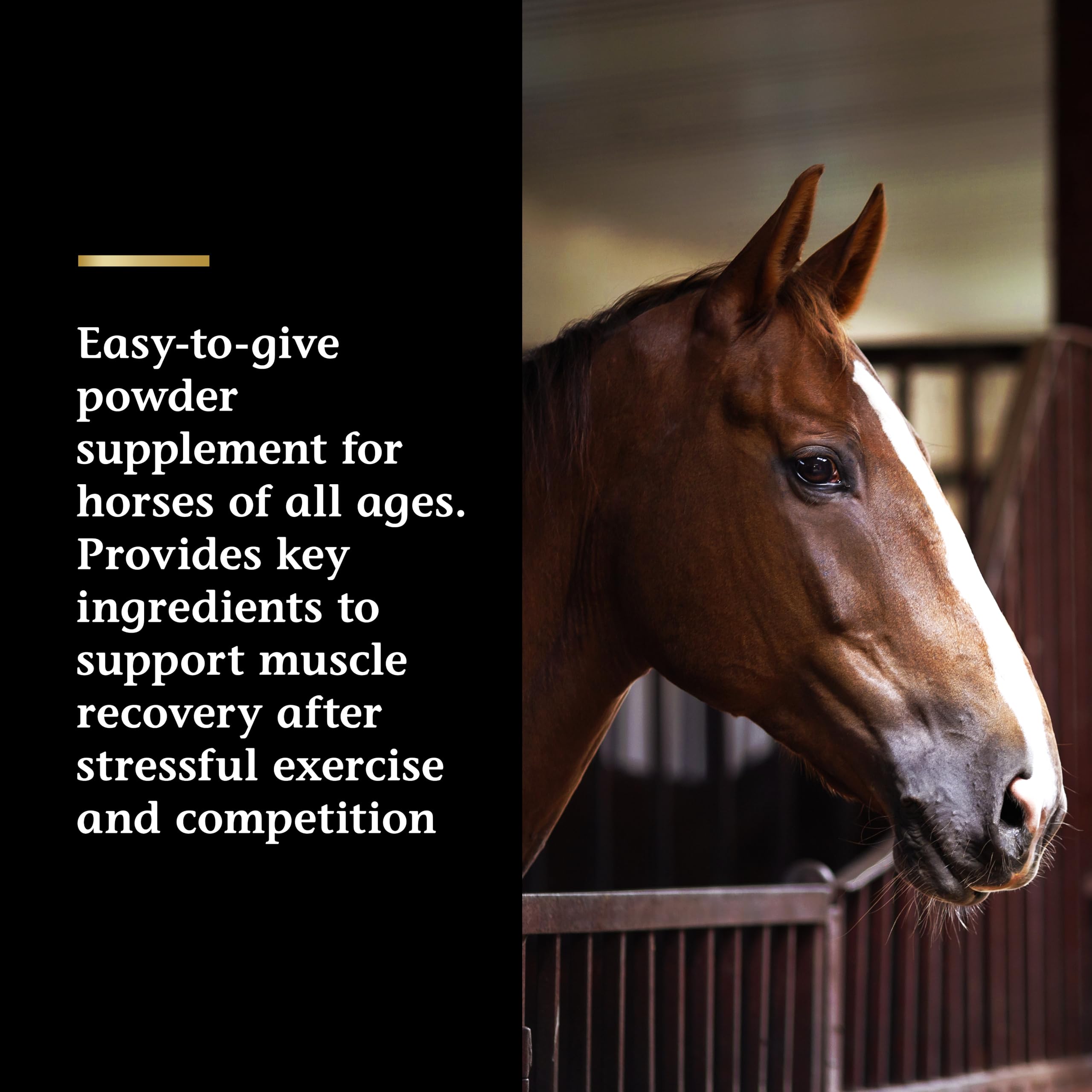 Vita Flex Pro Recovery by the Makers of Lactanase, Post Performance Horse Supplements 40 g, Show Safe Muscle Recovery Supplements, Amino Acids for Horses, Strength & Joint Health Vita Flex buy supplements canada