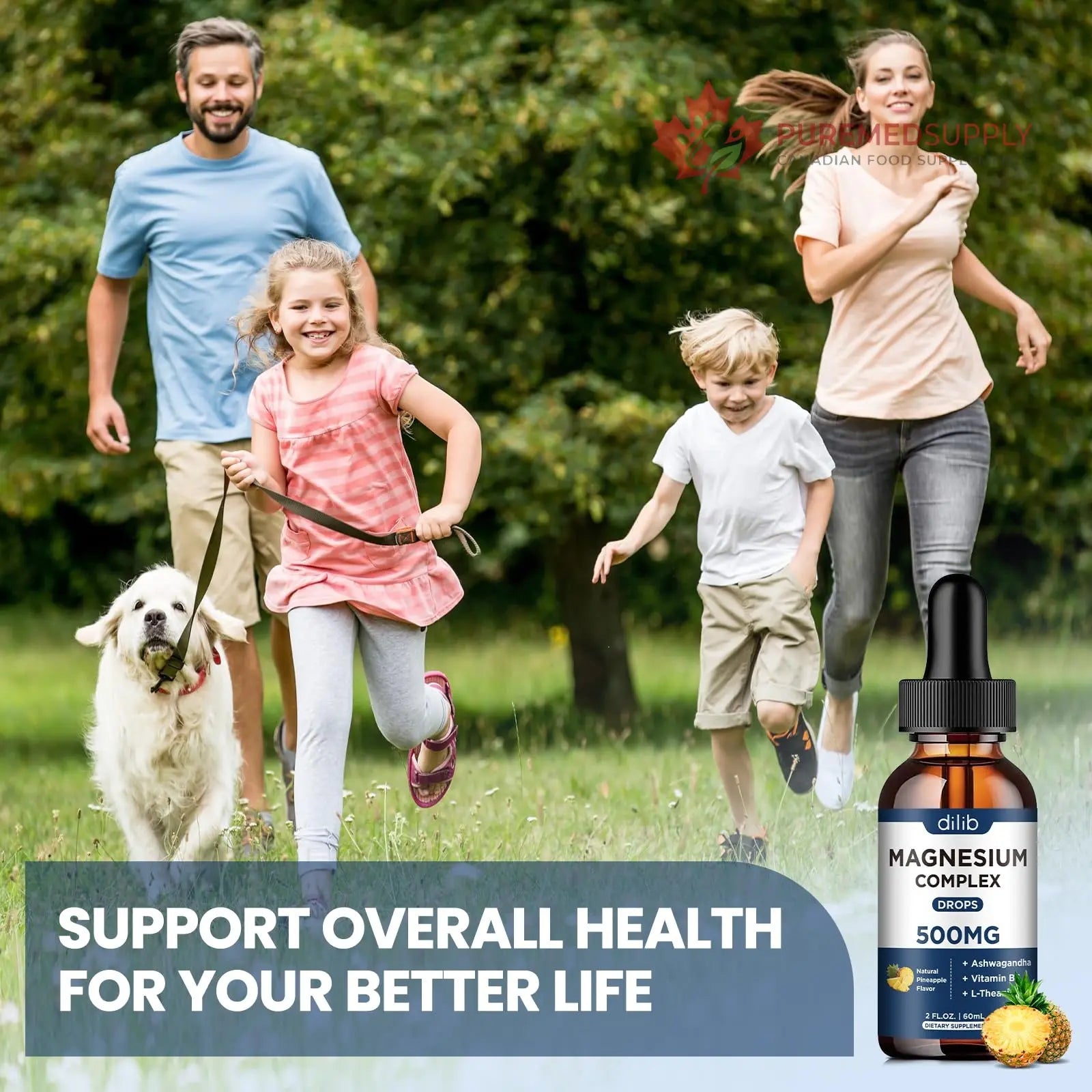 Triple Magnesium Complex Supplement-Magnesium Glycinate, Citrate, Malate Liquid Drops 500mg with Ashwagandha, L-Theanine, Vitamin B6 for Calm, Stress Relief, Sleep, Muscle Support-Pineapple Flavor dilib buy supplements canada