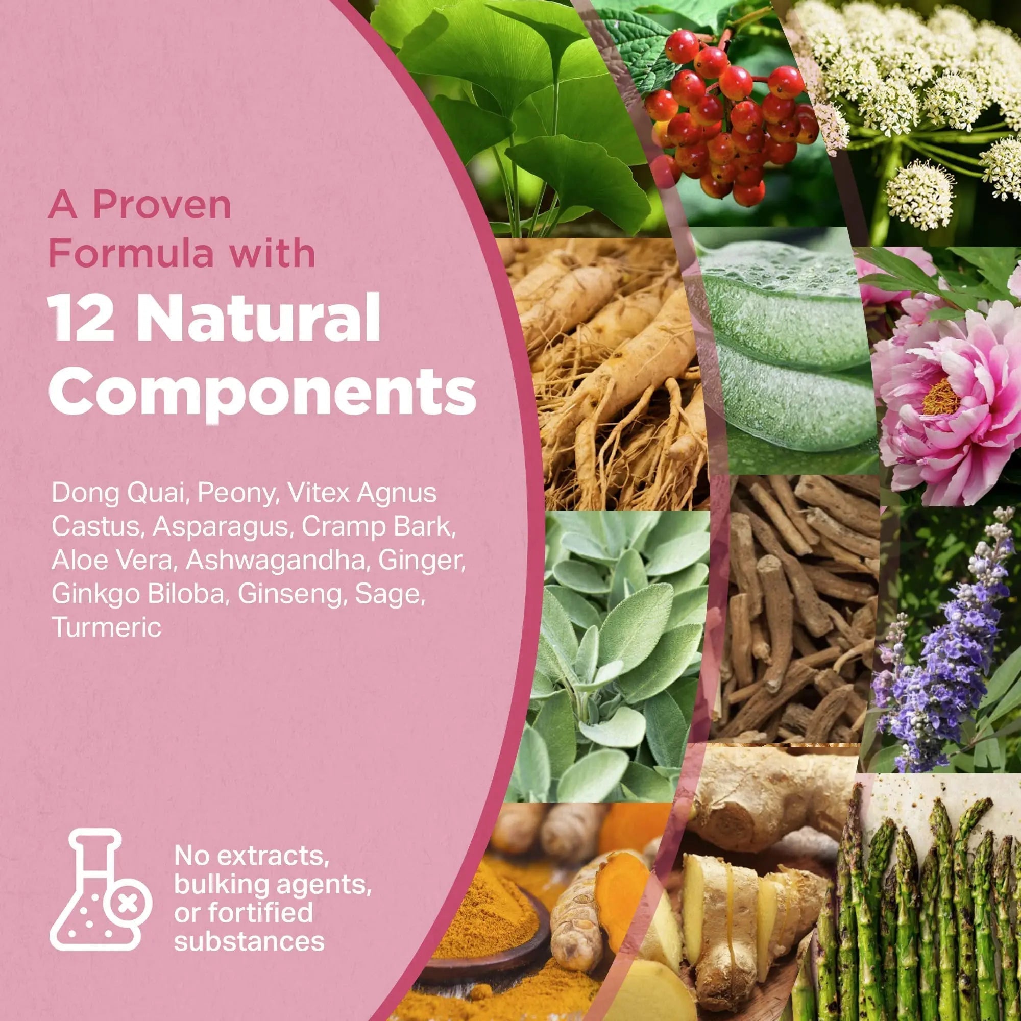 Strength & Spices Hormone Balance 100% Natural Estrogen Supplement – 12 Ingredients w Dong Quai - 60 Vegan UK Made 1000mg Capsules – Fertility and Menstrual Comfort STRENGTH & SPICES100% Natural Vegan Food Supplements buy supplements canada
