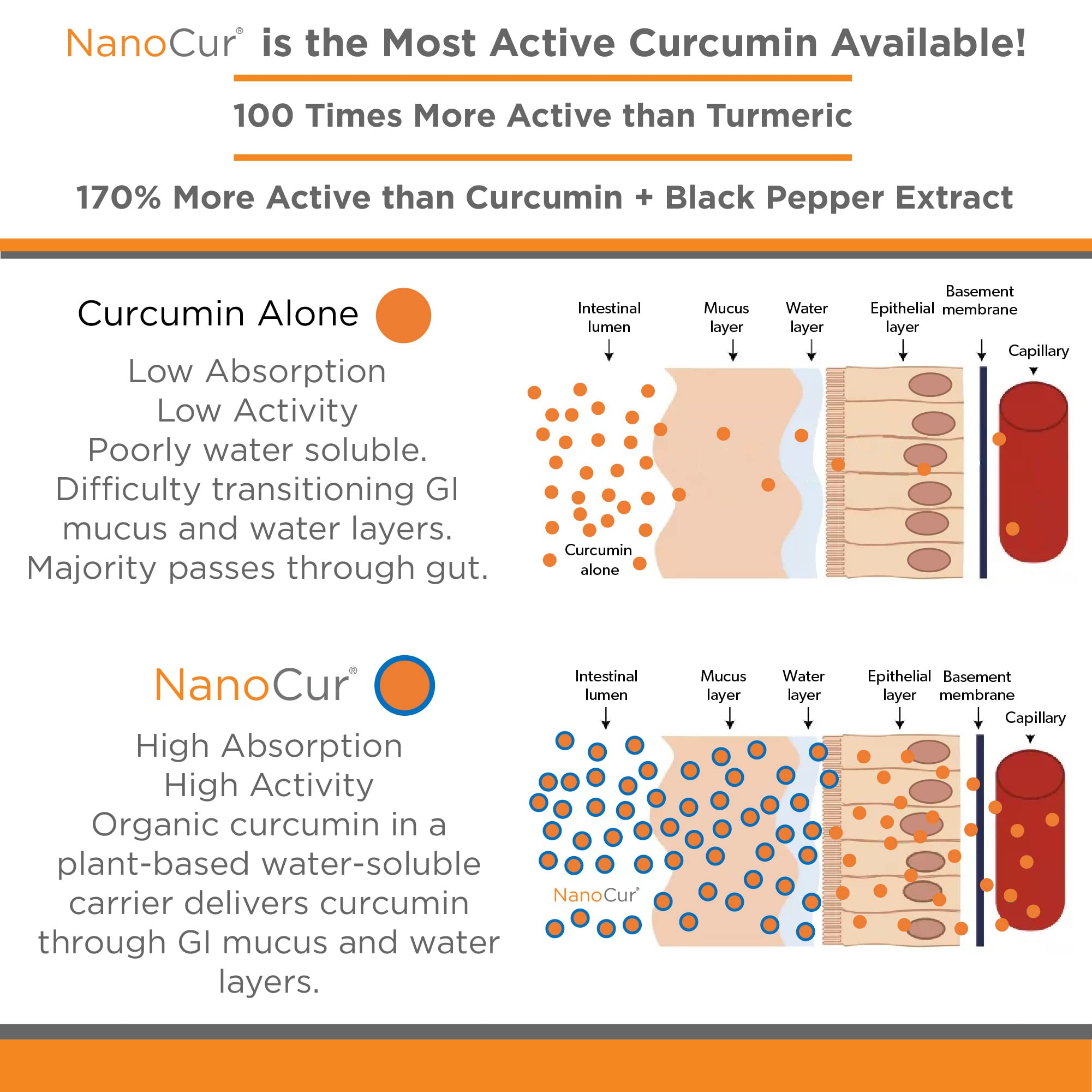 Nanocur Turmeric Curcumin - 100x More Active Than Turmeric, 170% More Active Than Nanocur buy supplements canada