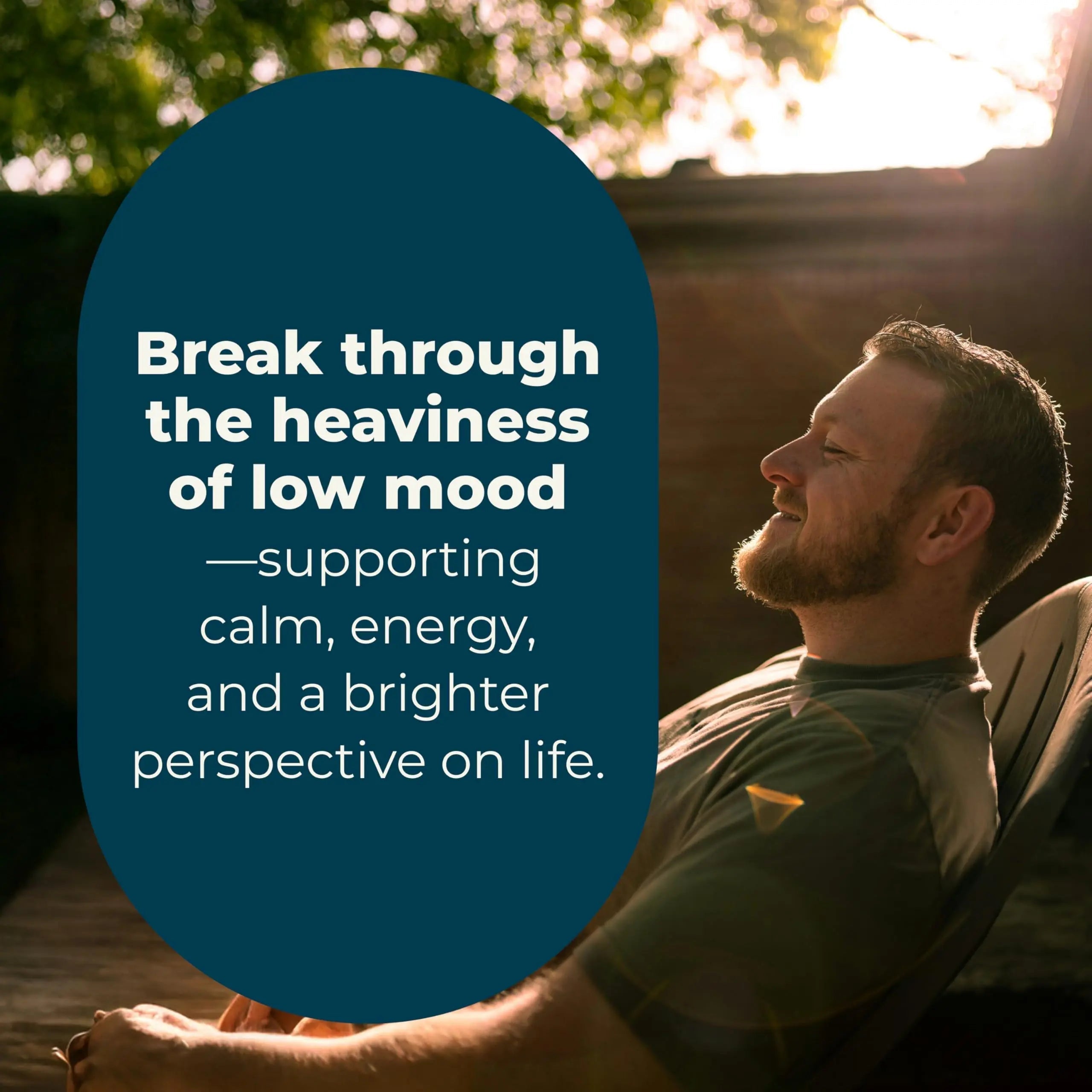 LifeSeasons - Mood Stabili-T - Positive Mood Booster - Enhanced Calmness and Happiness - Relaxed and Balanced Mind LifeSeasons buy supplements canada