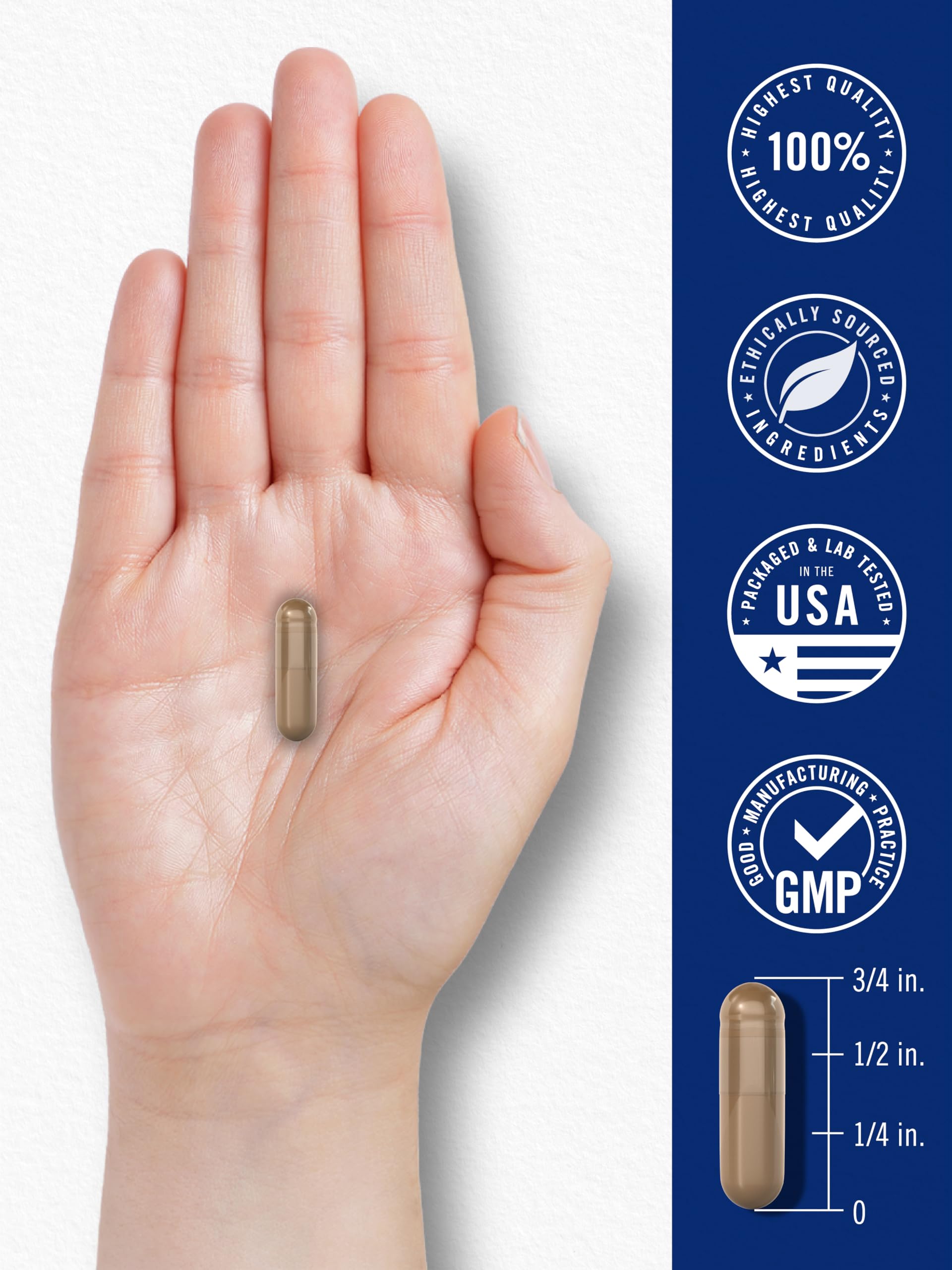 Carlyle Blood Circulation Supplement | 180 Capsules | Supports Healthy Circulation | Non-GMO, Gluten Free Carlyle buy supplements canada