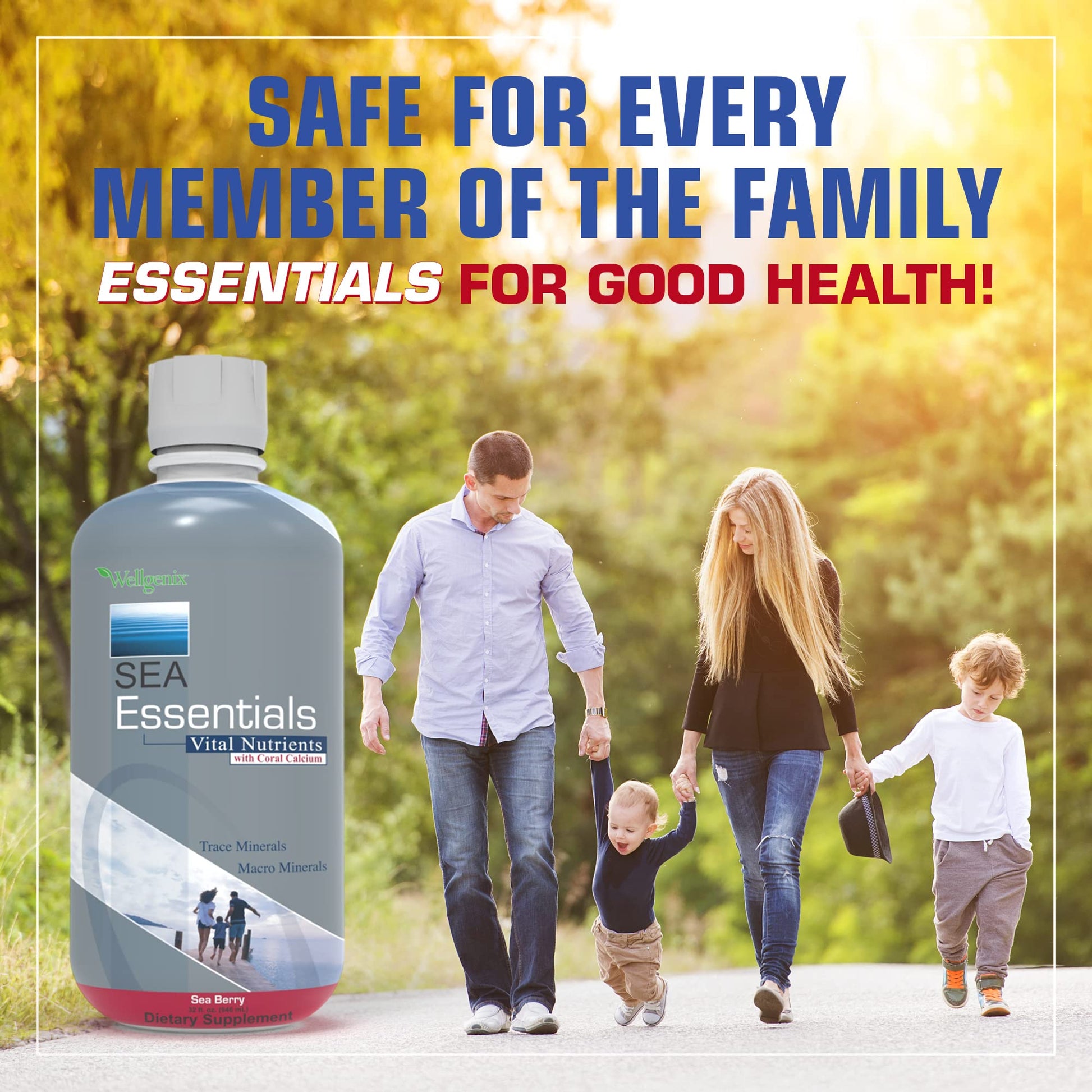 Wellgenix Sea Essentials Liquid Mineral Dietary Supplement with Trace and Macro Minerals and Coral Calcium – Sea Berry Flavor – 32 fl oz Wellgenix buy supplements canada