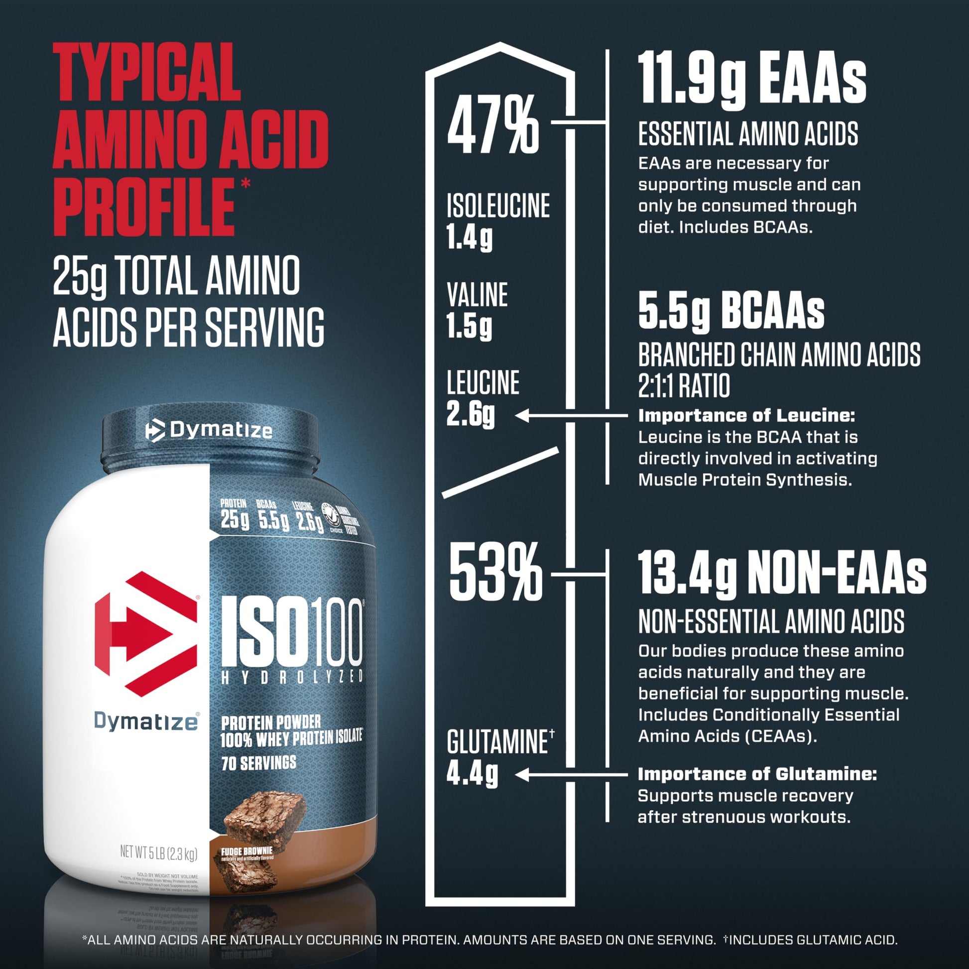 Dymatize ISO100 Hydrolyzed Protein Powder, 100% Whey Isolate Protein, 25g of Protein Dymatize buy supplements canada
