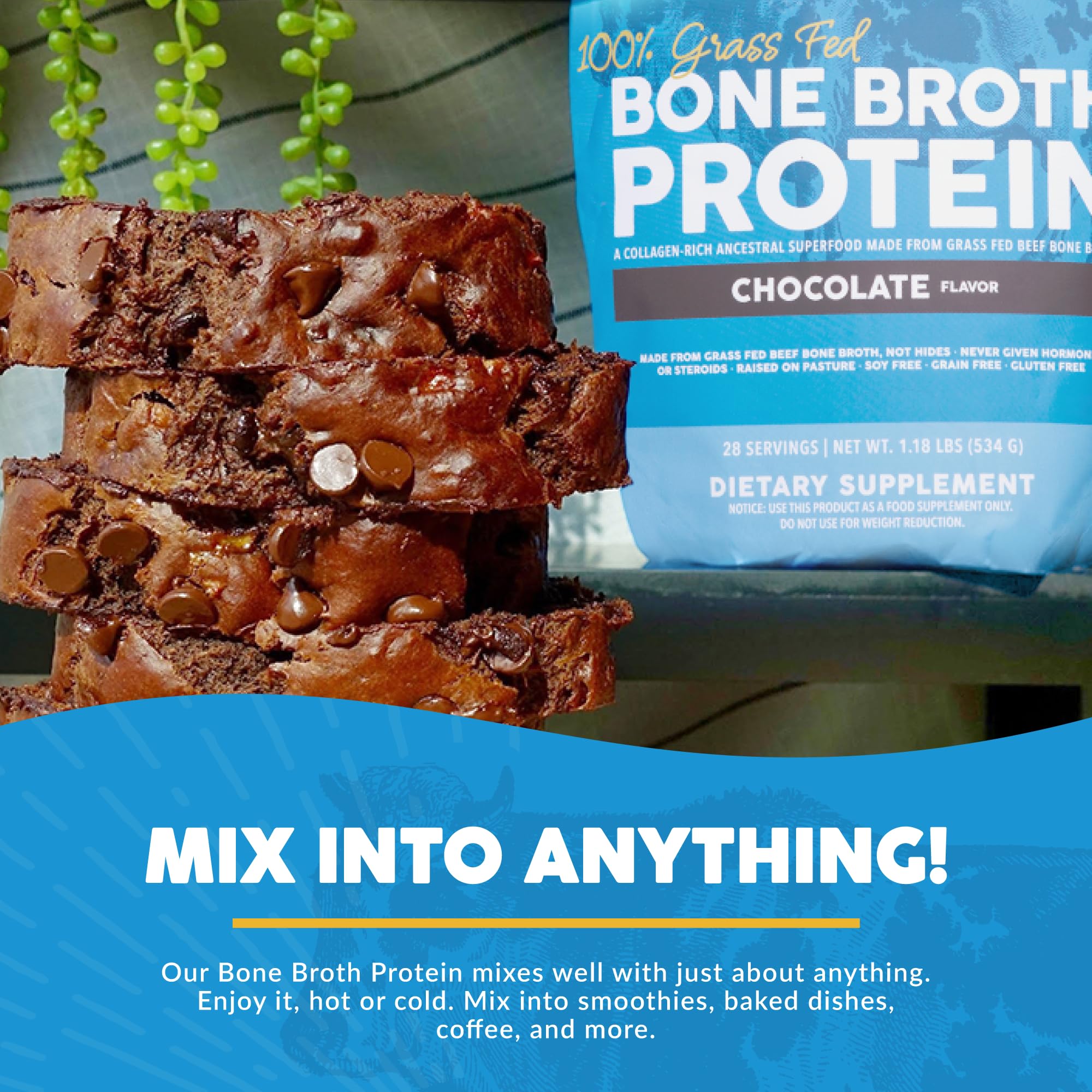 Paleovalley 100% Grass Fed Bone Broth Protein Powder - Chocolate - Rich in Collagen Paleovalley buy supplements canada