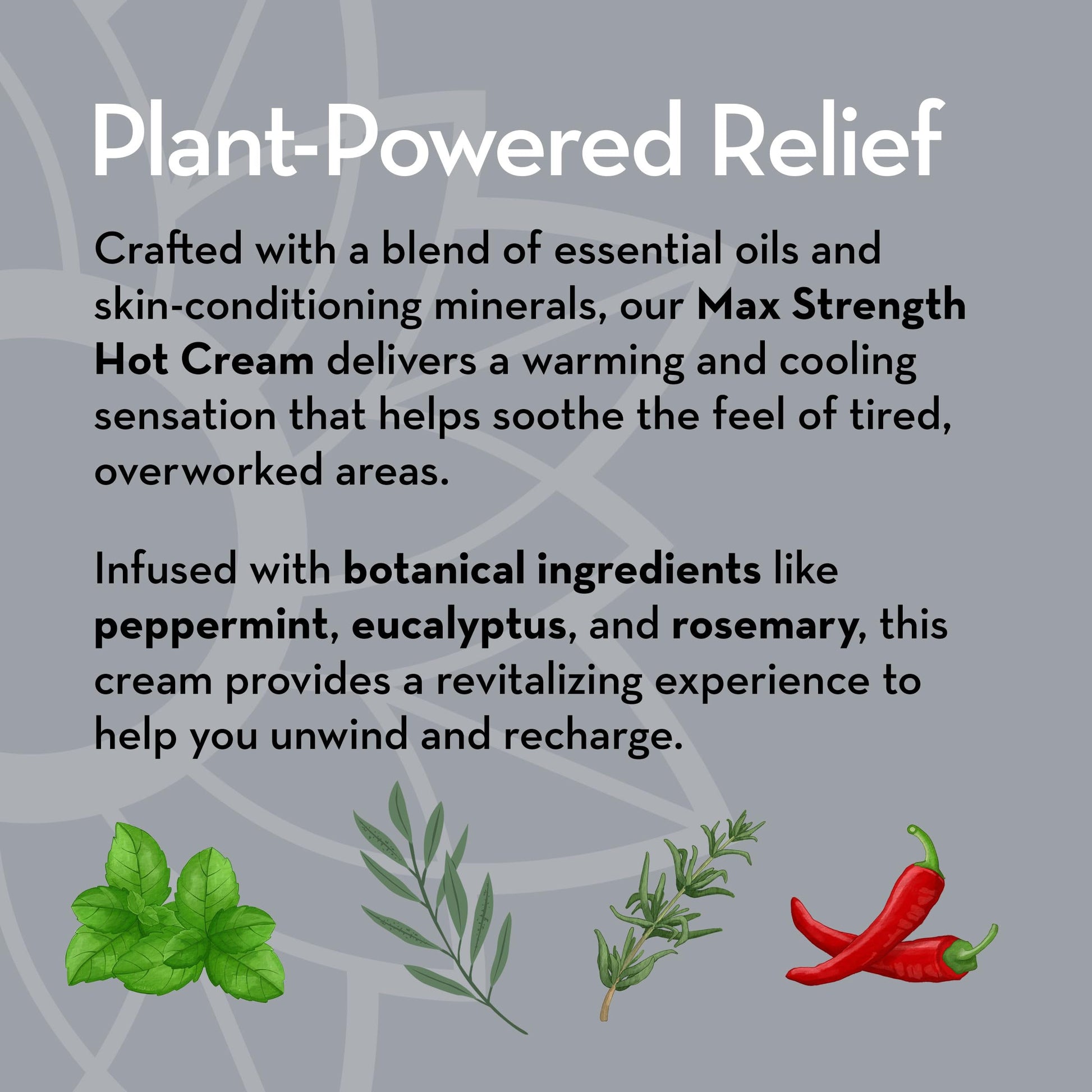 Pure Body Naturals Max Strength Hot Cream – Warming & Cooling Cream with Capsaicin and Menthol – Soothing Comfort for Overworked Muscles – 8.8 oz Pure Body Naturals buy supplements canada