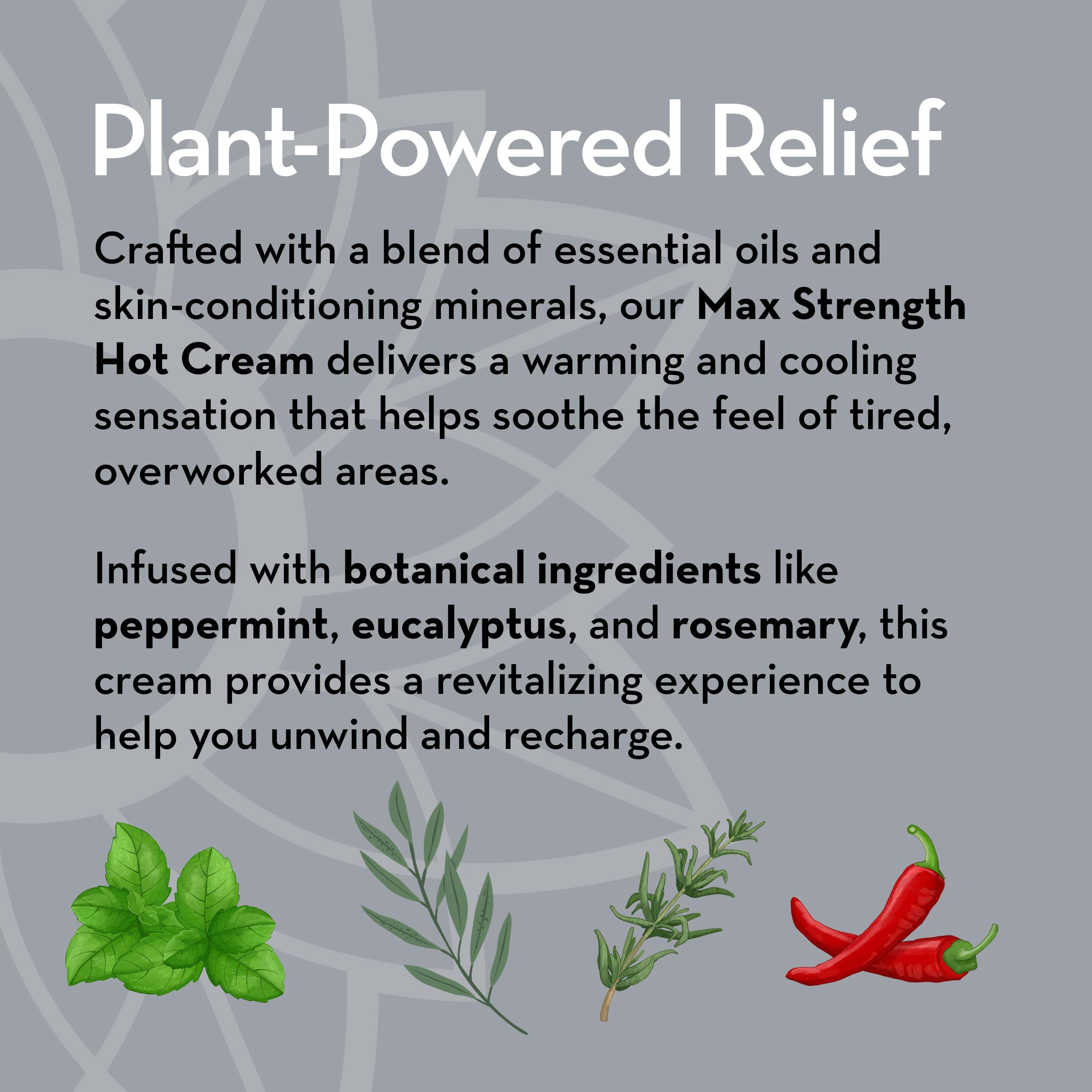 Pure Body Naturals Max Strength Hot Cream – Warming & Cooling Cream with Capsaicin and Menthol – Soothing Comfort for Overworked Muscles – 8.8 oz Pure Body Naturals buy supplements canada