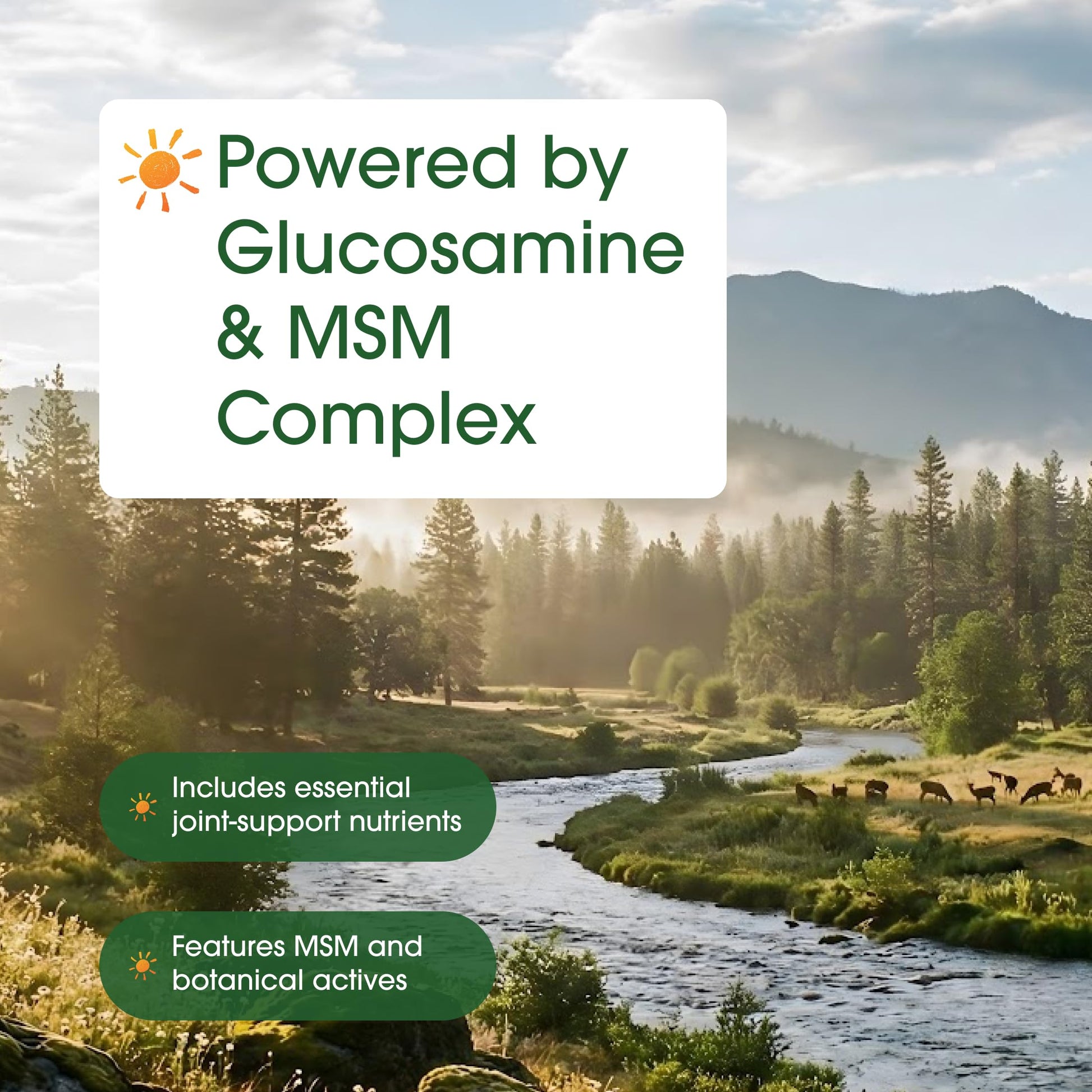 NatureBell Advanced Glucosamine Chondroitin & MSM - 240 Capsules - 10-in-1 Joint Support Complex* - Includes Hyaluronic Acid, Turmeric, Glucosamine, Collagen & More NatureBell buy supplements canada