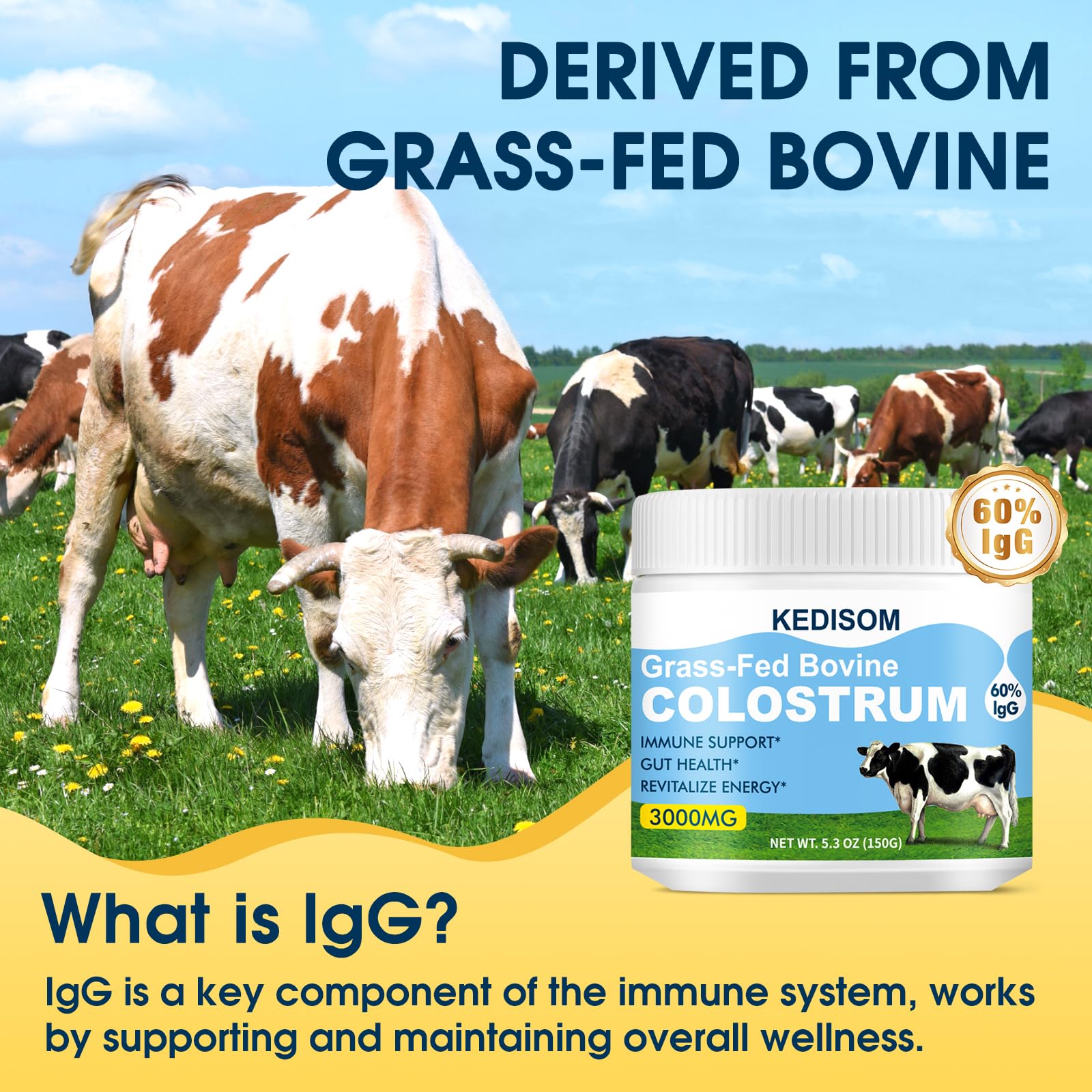 KEDISOM Grass-Fed Bovine Colostrum Supplement Powder - 60% High IgG 3000 mg for Gut Health, Immune Support - Easy to Mix Natural Liposomal Colostrum Superfood, Unflavored, 50 Servings KEDISOM buy supplements canada