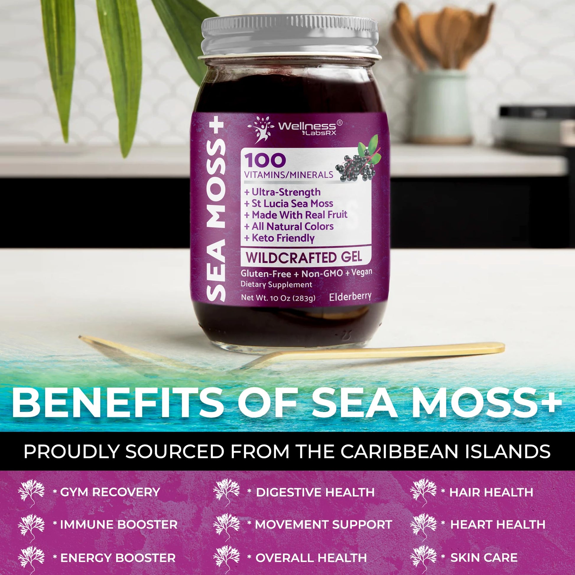 WELLNESS LABSRX Irish Sea Moss Gel Raw - Wildcrafted Superfood Seamoss Gel - Elderberry Flavor, Vitamin and Mineral-Rich from Pristine Caribbean Waters, Immune and Digestive Health Support - 10 oz. WELLNESS LABSRX buy supplements canada