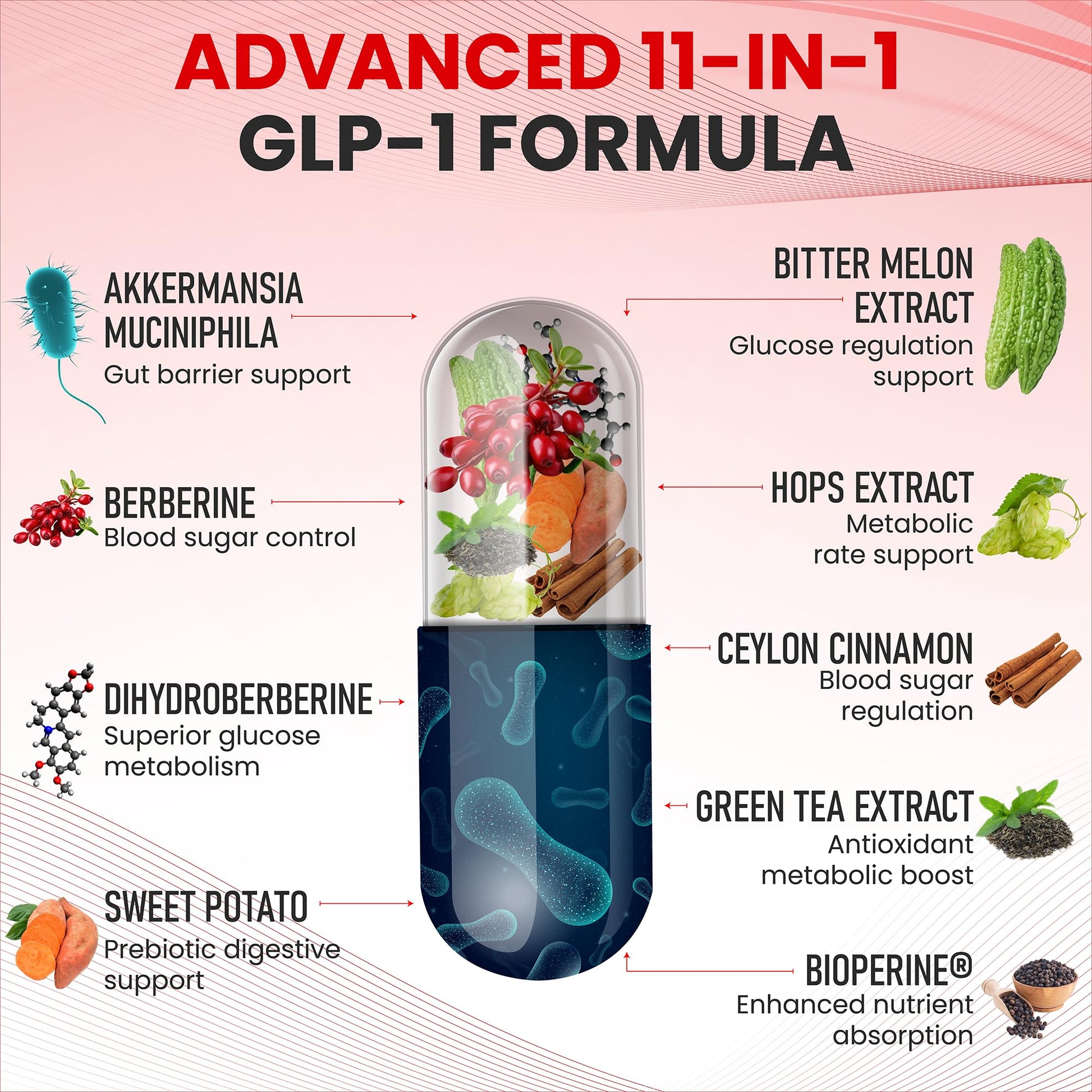 Zenrenu GLP-1 Supplement for Women - Natural Metabolism, Appetite & Craving Support – Super Berberine, Cinnamon,Akkermansia Probiotic,11-in-1 Gut Support - GLP Activate -60 Vegan Caps Zenrenu buy supplements canada