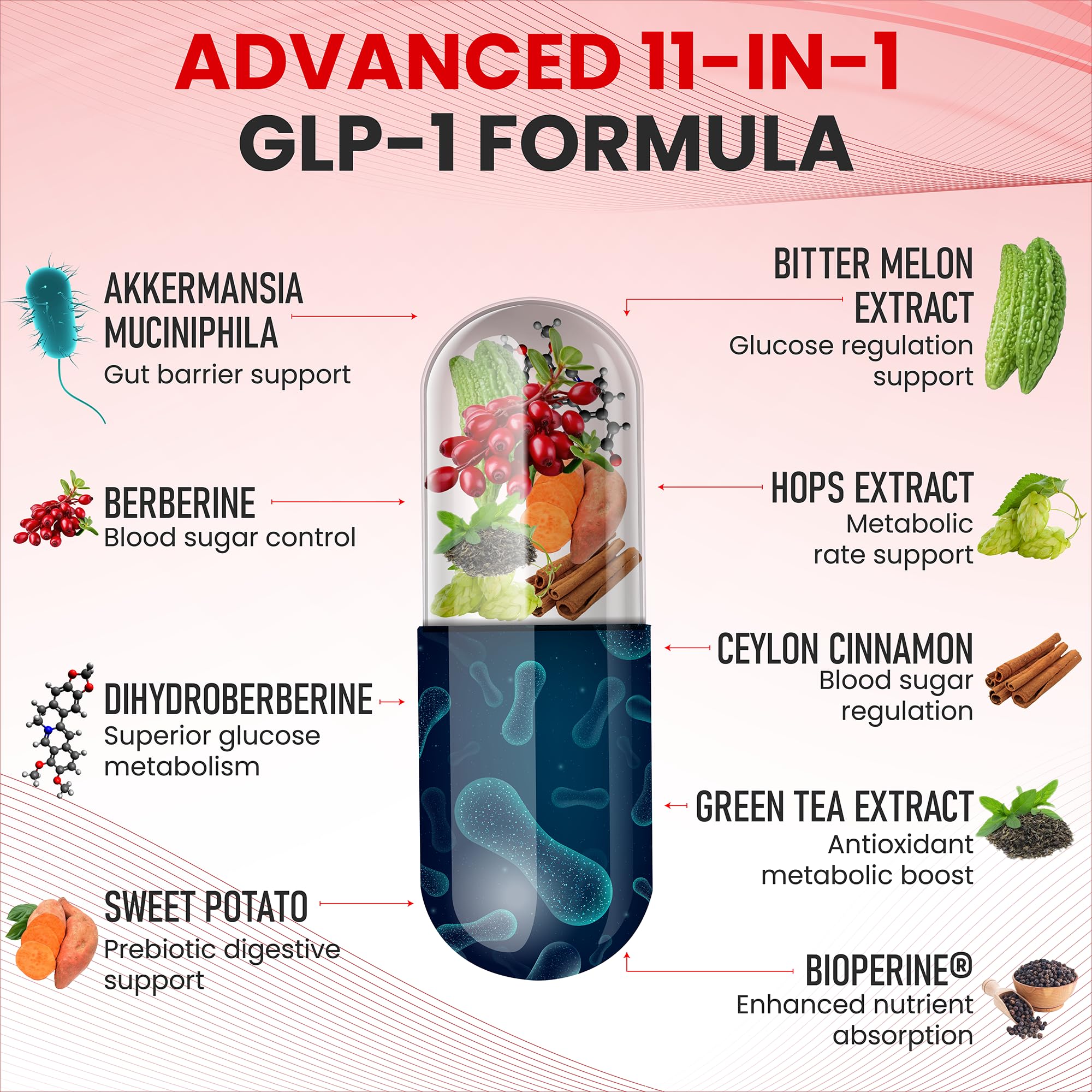 Zenrenu GLP-1 Supplement for Women - Natural Metabolism, Appetite & Craving Support – Super Berberine, Cinnamon,Akkermansia Probiotic,11-in-1 Gut Support - GLP Activate -60 Vegan Caps Zenrenu buy supplements canada