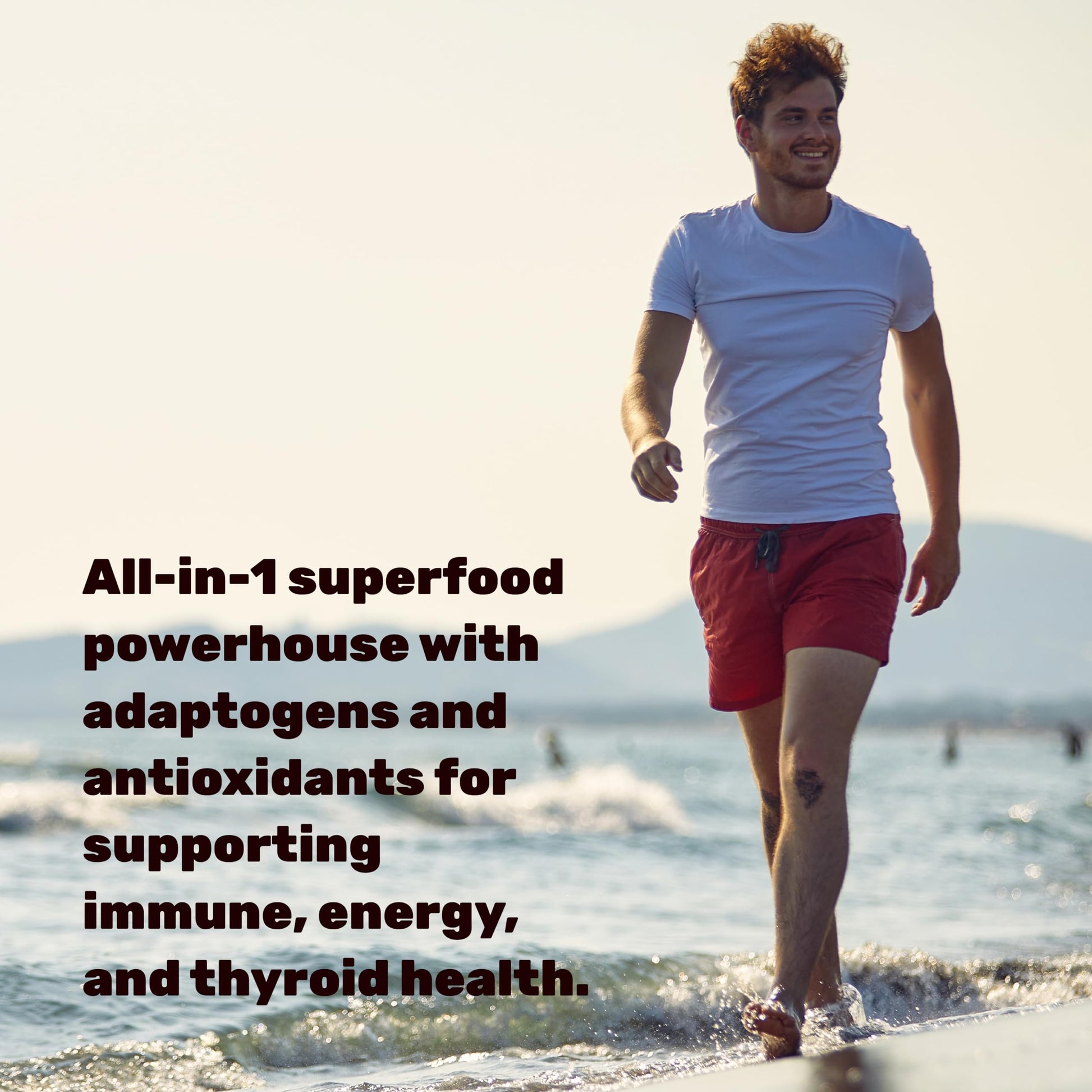 DEAL SUPPLEMENT Irish Sea Moss 240 Veggie Capsules – 14 Superfood Complex with Black Seed Oil, Ashwagandha, & Ginger DEAL SUPPLEMENT buy supplements canada