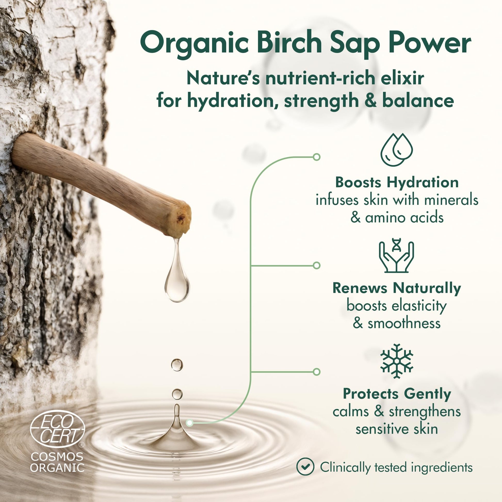 Nordic Organic Birch Sap Face Mist – COSMOS Certified Organic Formula with Hyaluronic Acid & Chaga Mushroom, Fragrance Free, Made in Finland 3.38 oz (100 ml), 1 Bottle Nordic Organic buy supplements canada