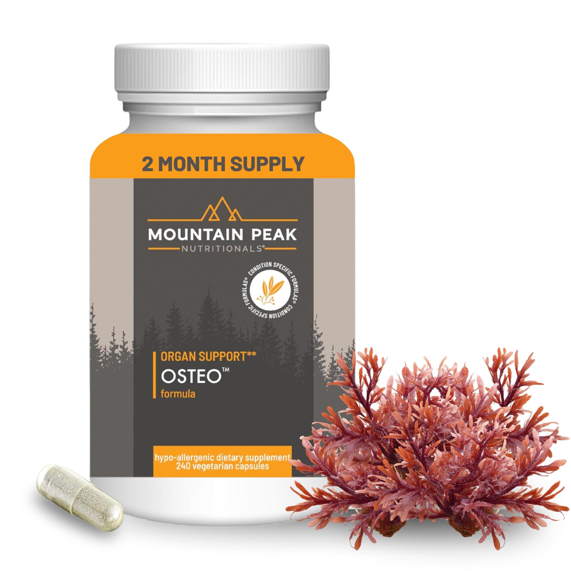 Mountain Peak Nutritionals Osteo Supplement - Organ & Strong Bone Support, Promotes Bone Health - With Vitamins D3, K2, Calcium, and Magnesium - Bone Building & Strengthening (240 Vegetarian Capsules) Mountain Peak Nutritionals buy supplements canada