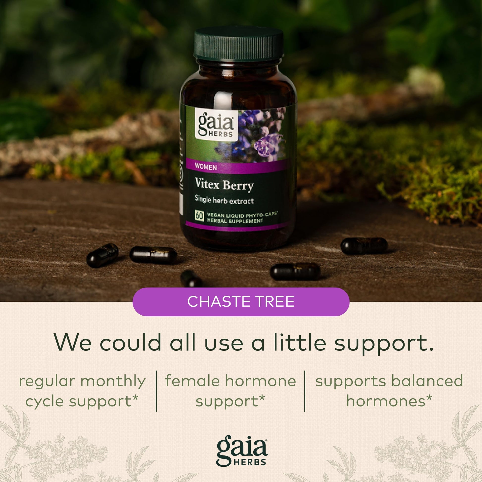 Gaia Herbs Vitex Berry (Chaste Tree) - Supports Hormone Balance & Fertility Gaia Herbs buy supplements canada