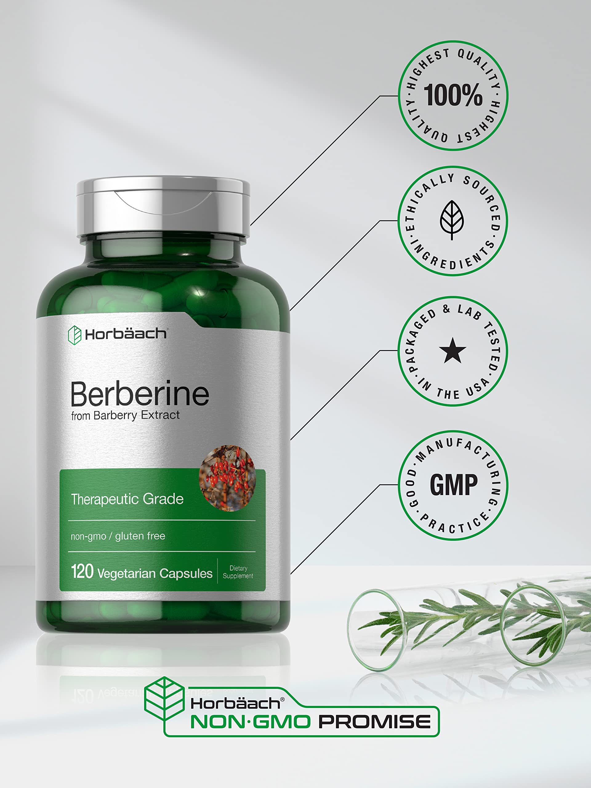 Berberine Supplement | 120 Capsules | Berberine HCl from Barberry Extract | Non-GMO Horbäach buy supplements canada