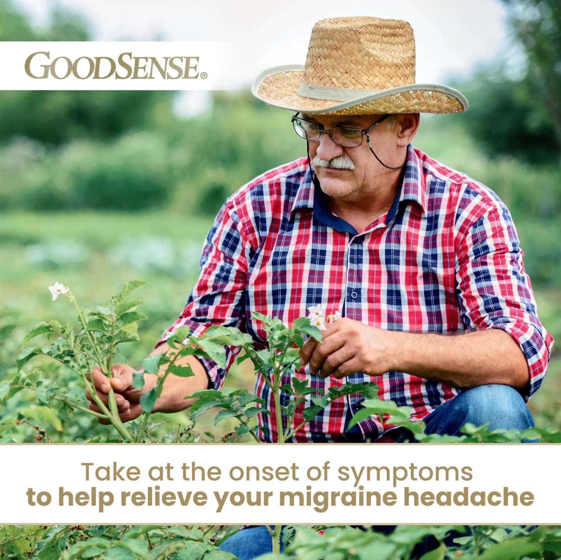 GoodSense Migraine Relief Geltabs, Acetaminophen, Aspirin (NSAID) and Caffeine, 80 Count GoodSense buy supplements canada