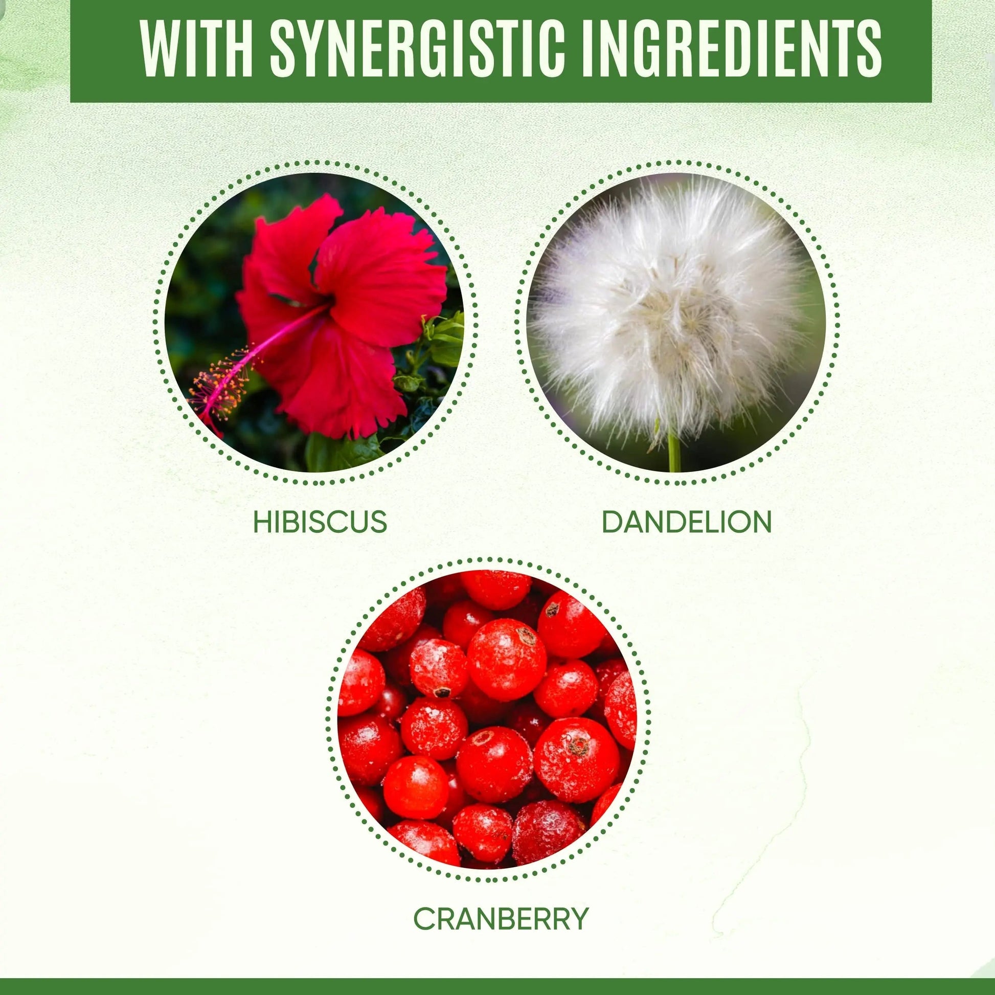 YEVANI 100% Pure D-Mannose Capsules 1000 mg with Cranberry, Hibiscus, and Dandelion Extract, Fast Acting Professional UTI Prevention Formula for Urinary Tract Health and Bladder Support YEVANI buy supplements canada