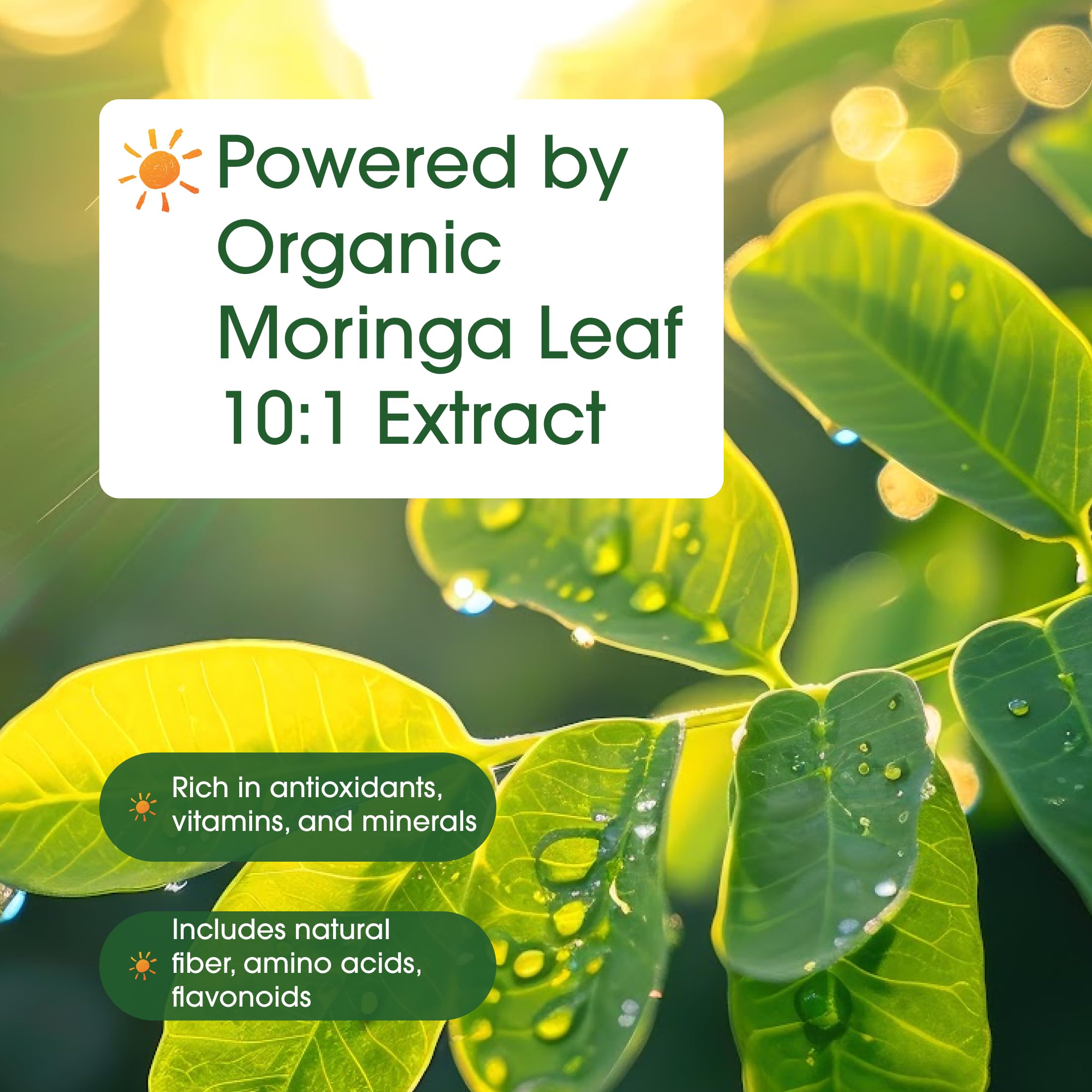 NatureBell Moringa - 240 Capsules - Organic Moringa for Immune, Energy & Skin Health Support - Green Superfood Properties NatureBell buy supplements canada