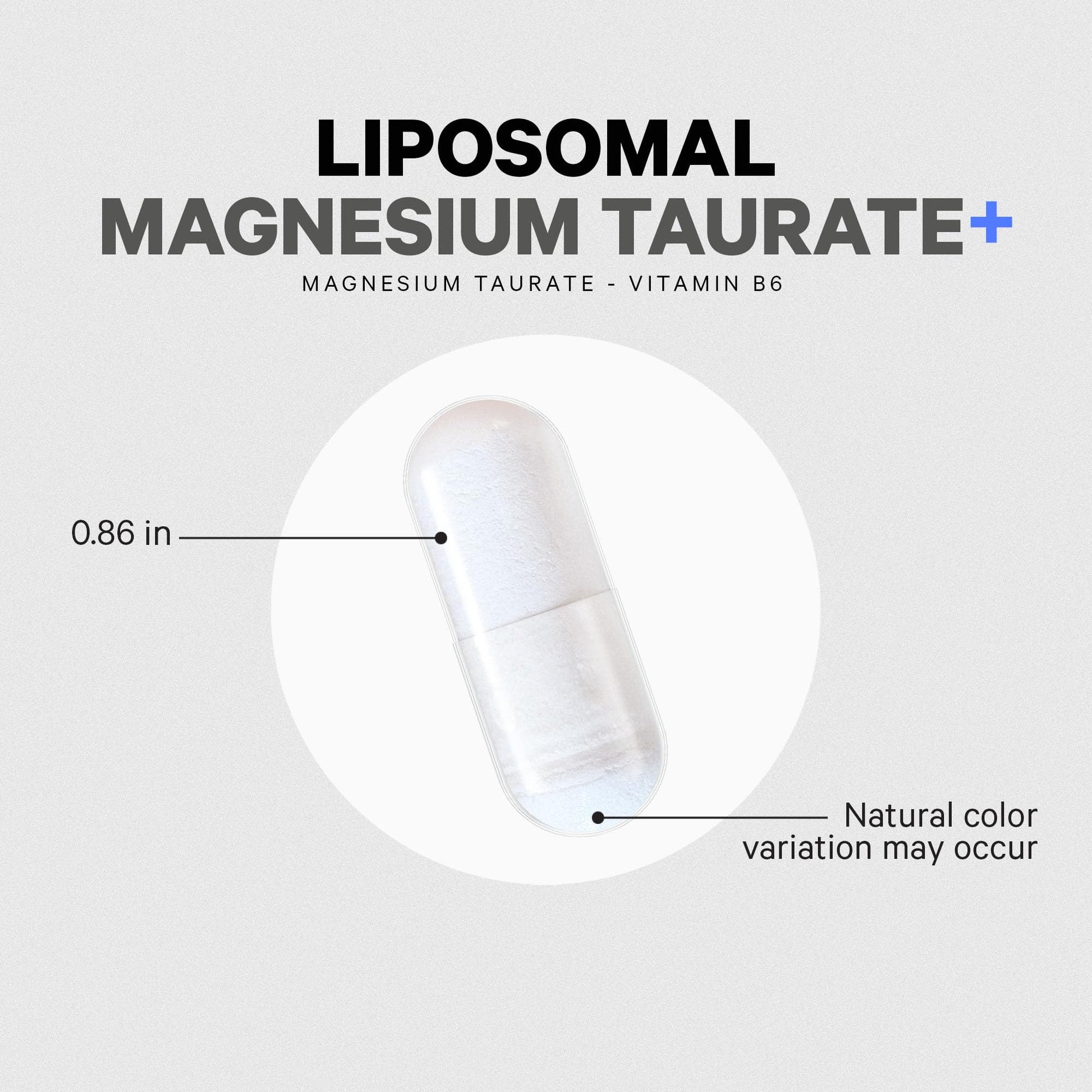 Codeage Liposomal Magnesium Taurate+ Supplement - Magnesium Taurate, Vitamin B6 as Pyridoxal 5-Phosphate, 2-Month Supply - Liposomal Delivery, Vegan, Non-GMO, Gluten-Free, 120 Capsules Codeage buy supplements canada