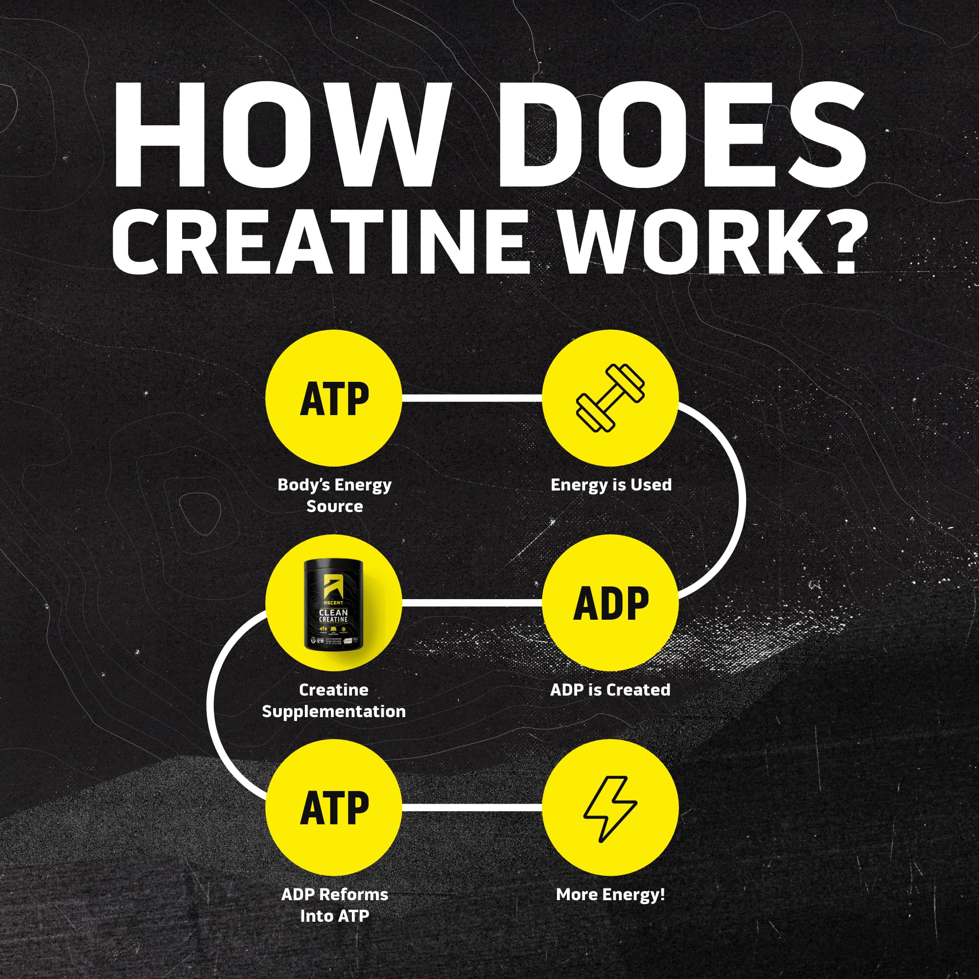Ascent Clean Creatine Monohydrate Powder - 5G Per Serving, Creapure Creatine Supplement - Unflavored, 100 Servings Ascent buy supplements canada