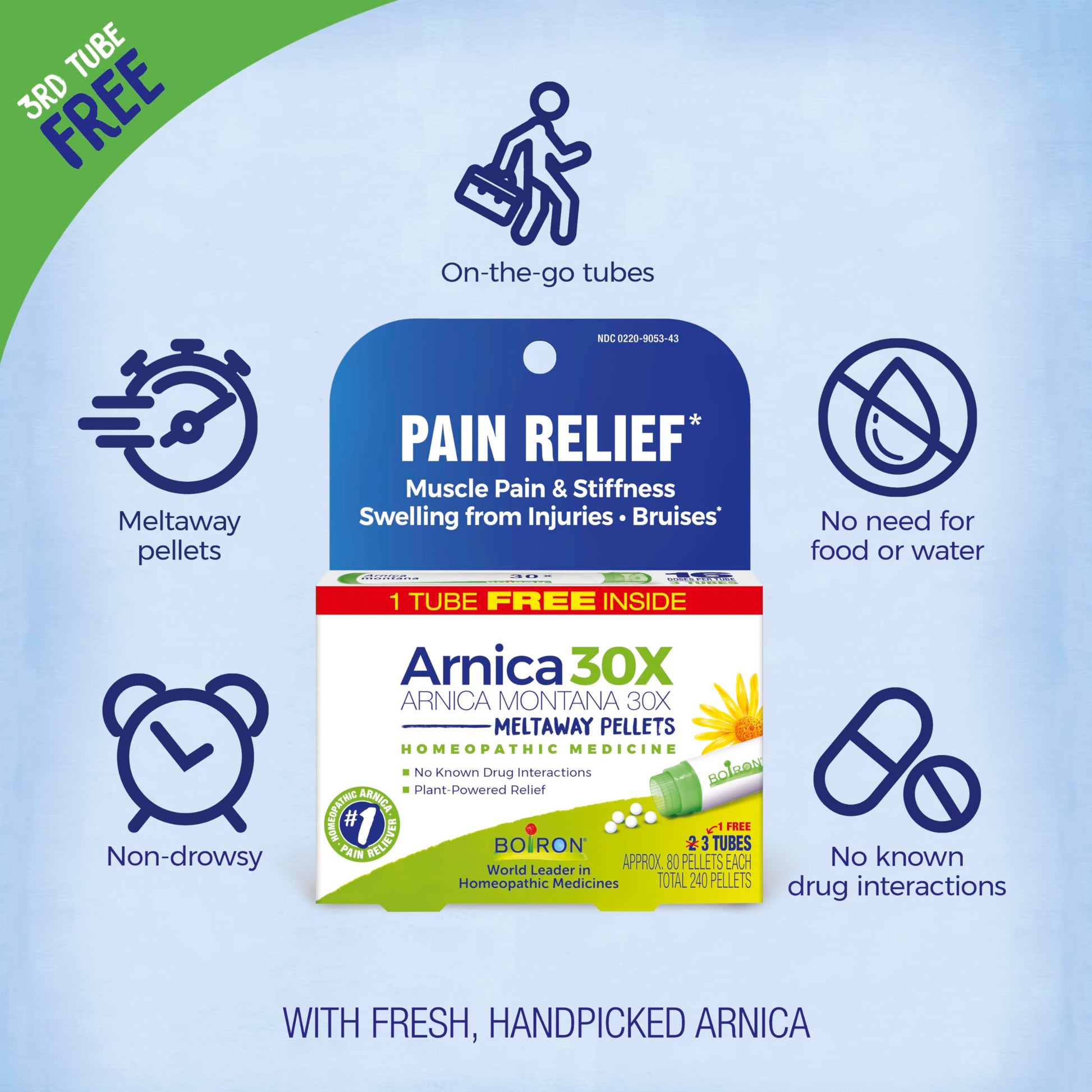 Boiron Arnica Montana 30X Homeopathic Medicine for Relief from Muscle Pain, Muscle Stiffness, Swelling from Injury, and Discoloration from Bruises - 3 Count (240 Pellets) Boiron buy supplements canada