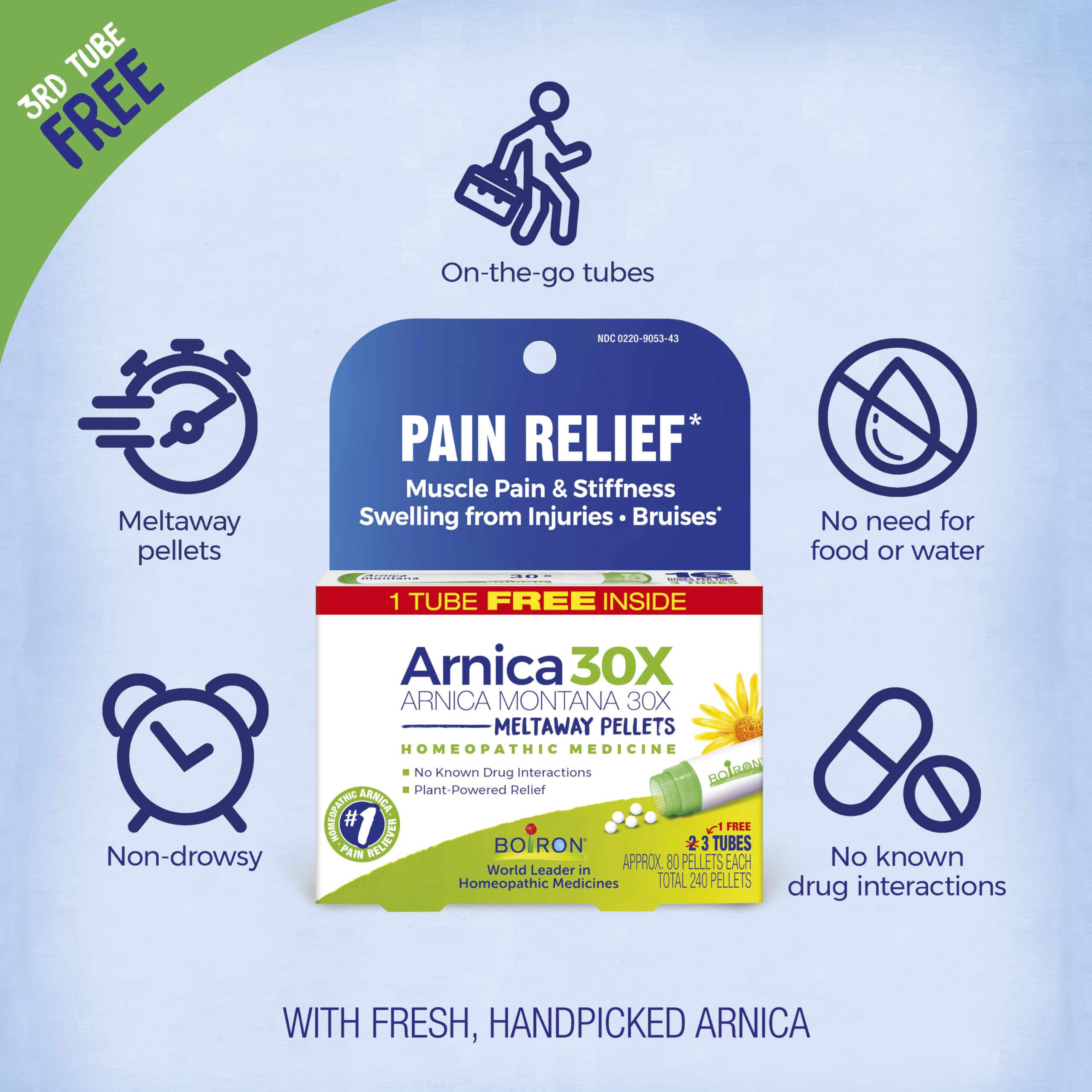 Boiron Arnica Montana 30X Homeopathic Medicine for Relief from Muscle Pain, Muscle Stiffness, Swelling from Injury, and Discoloration from Bruises - 3 Count (240 Pellets) Boiron buy supplements canada