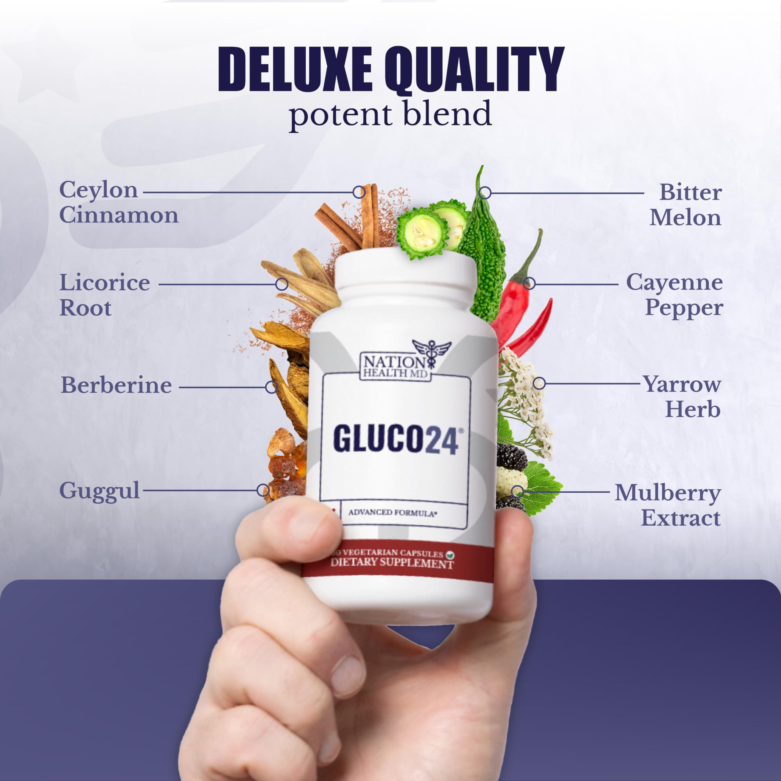 NATION HEALTH MD Gluco24 Advanced Formula - Dietary Supplement with Ceylon Cinnamon Bark Extract, Berberine HCI, Magnesium & Zinc - 60 Capsules NATION HEALTH MD buy supplements canada